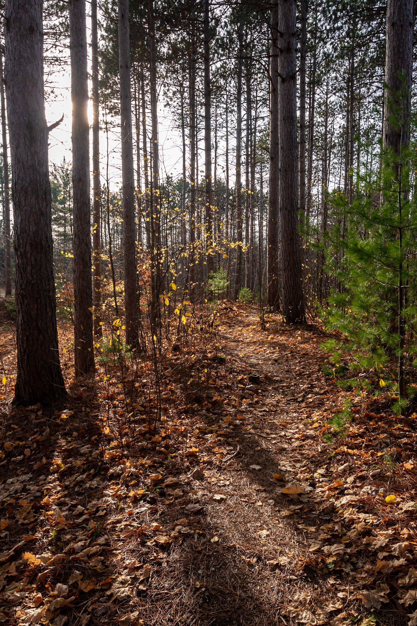 Site 3. A final shot before packing up and heading out to meet up with the others for ice cream.