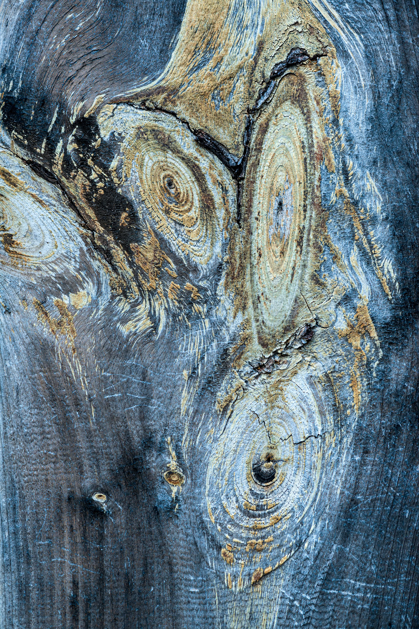 I often see faces in things, and this is a typical example. It's the wooden side of a building that was beautifully weathered.