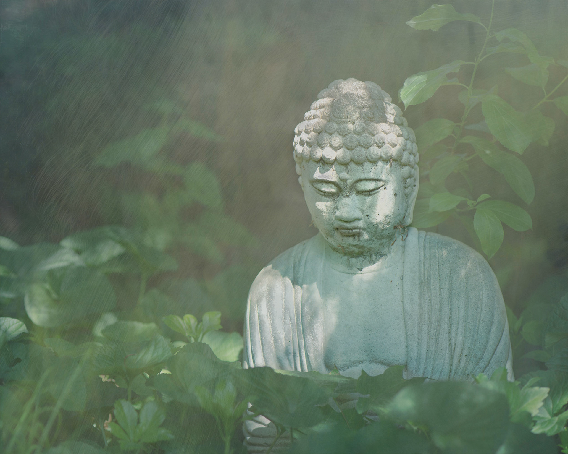 Every garden needs a Buddha. I was aiming for a soft, dreamy look, to suit the contemplative expression of the statue.