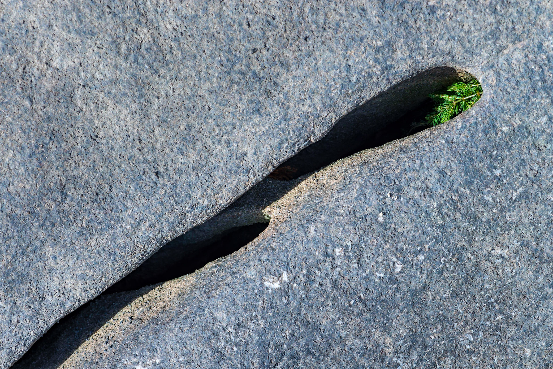 It always pays to look down. In this case, I was standing on a boulder along the shore and noticed the crevice and the plant. Composed to provide a strong line leading to the plant.
