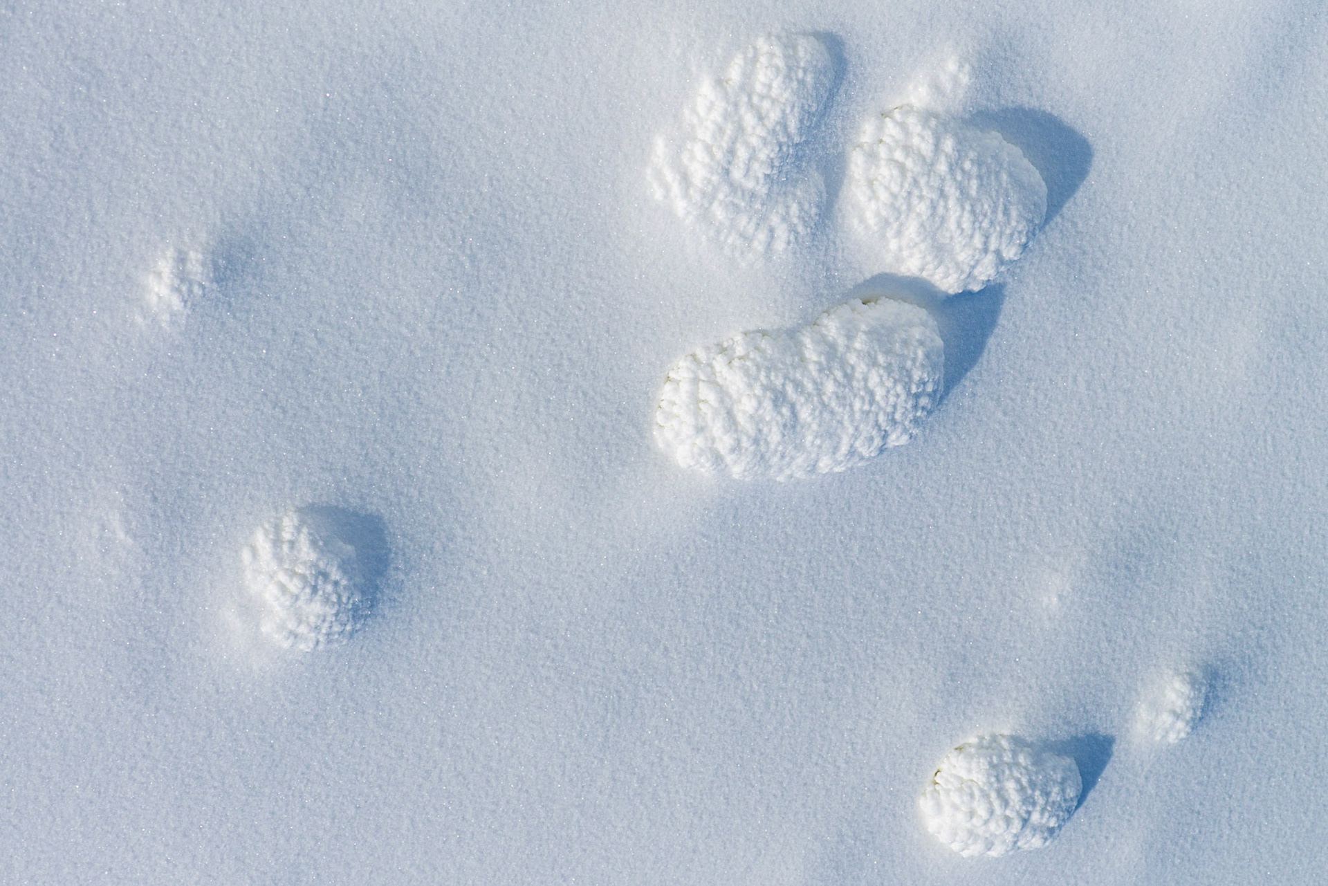 These shapes in the snow caught my eye and led me to make this shot. Notice the contrast in texture between the shapes and the snow.