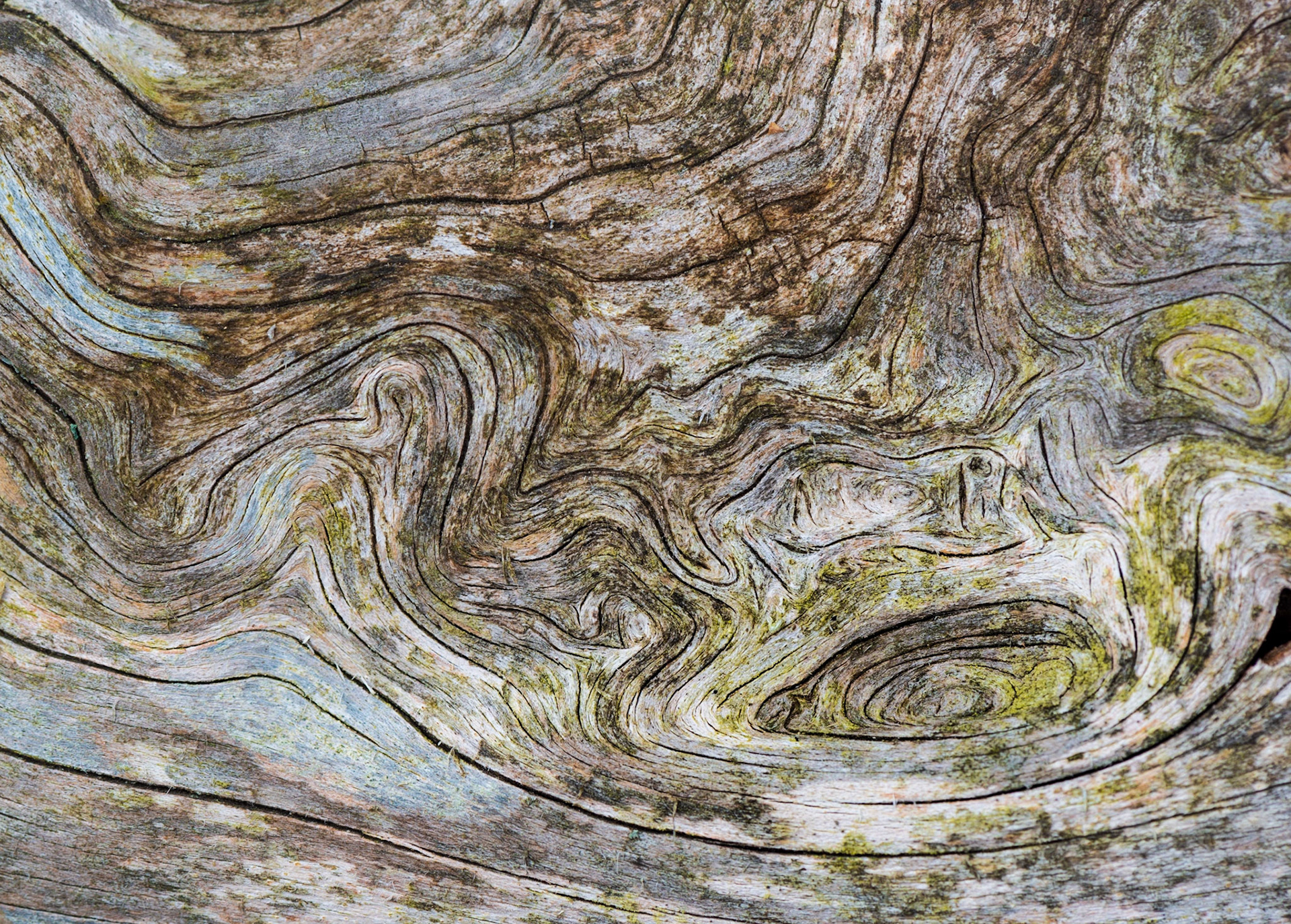 This was an amazing find just as I was starting to head back to the entrance area. I took several shots, but this is the one I like best.