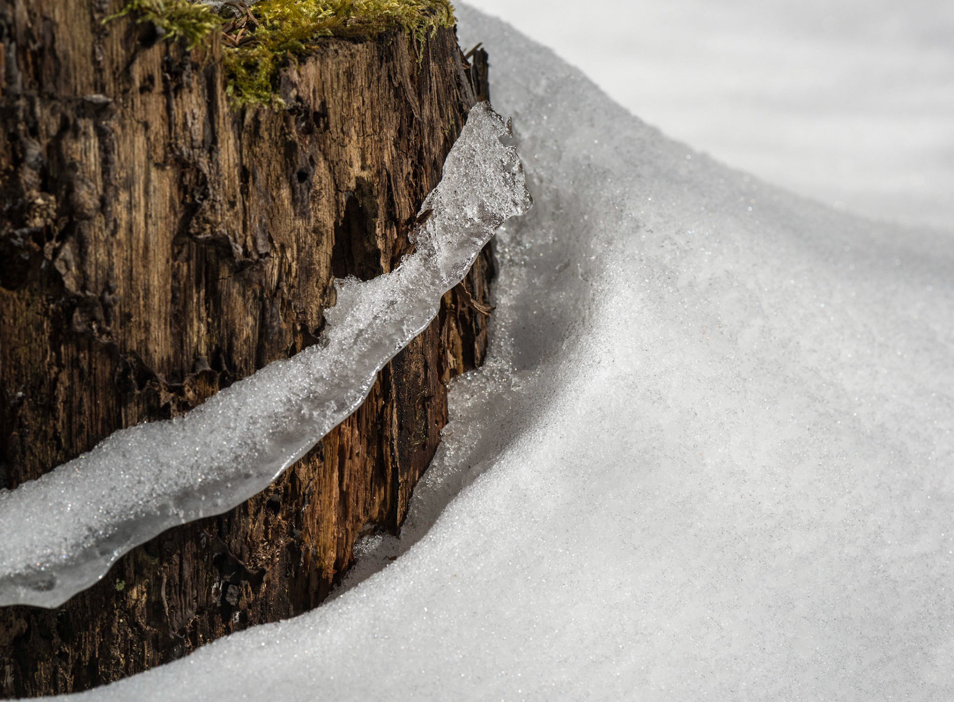 The glistening ice and the sweeping lines formed by the snow and ice are what captured my eye in this photo.
