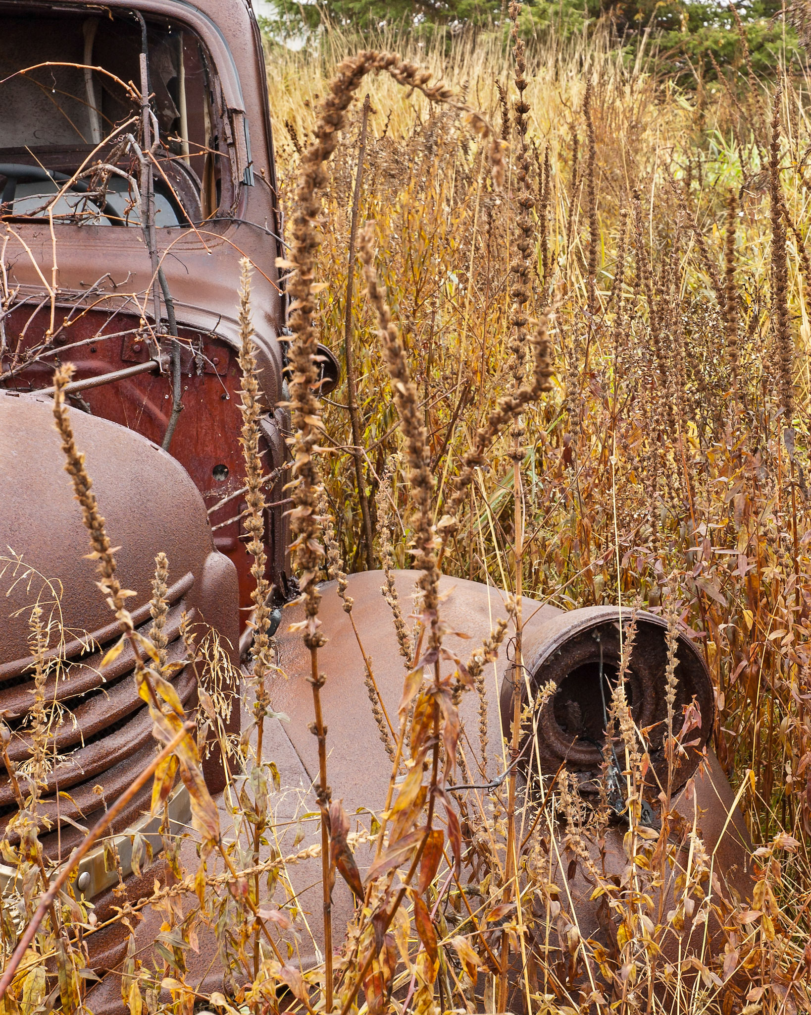 Near Ottawa, Ontario; RA Photo Club Iron Butt Outing; October 2009