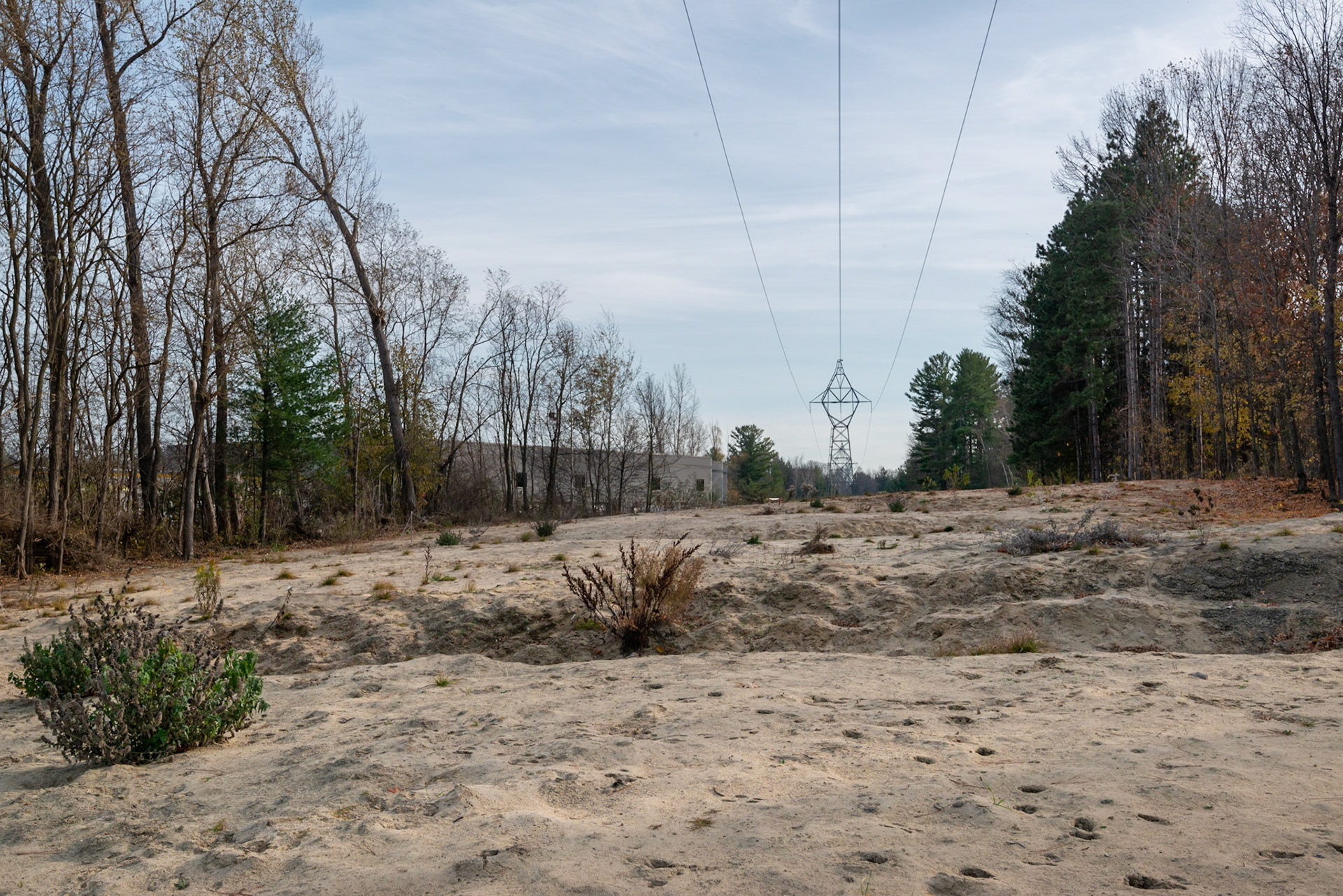 Site 4. A wider angle shot to show the area. My shooting location relative to the electrical tower was of course very deliberate.