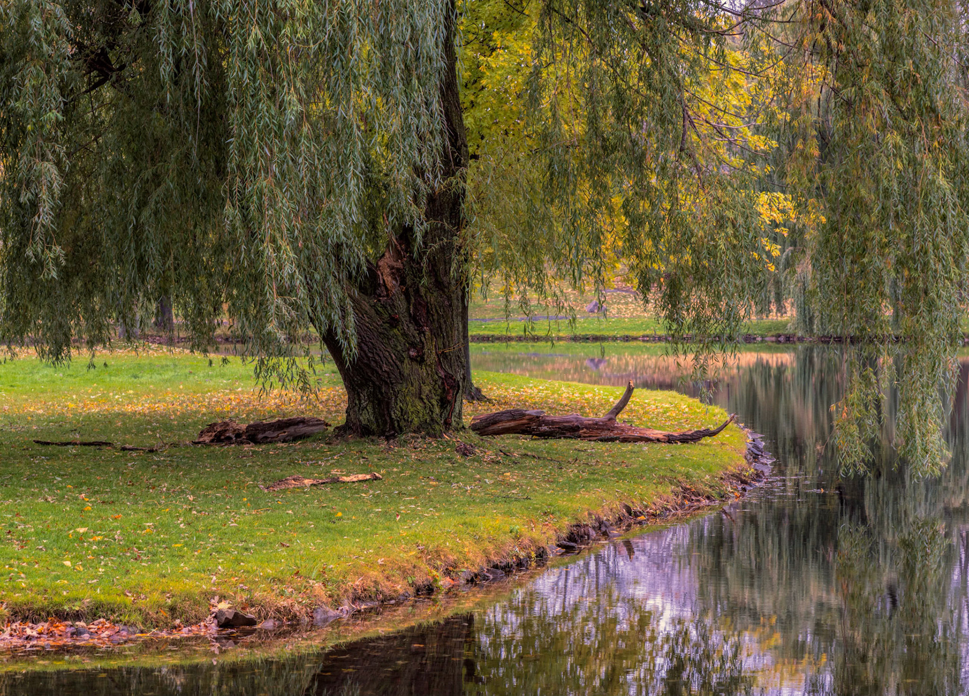 We were fortunate to visit Stewart Park in Perth, Ontario on a rainy, overcast day, when the colours of fall just exploded into view.