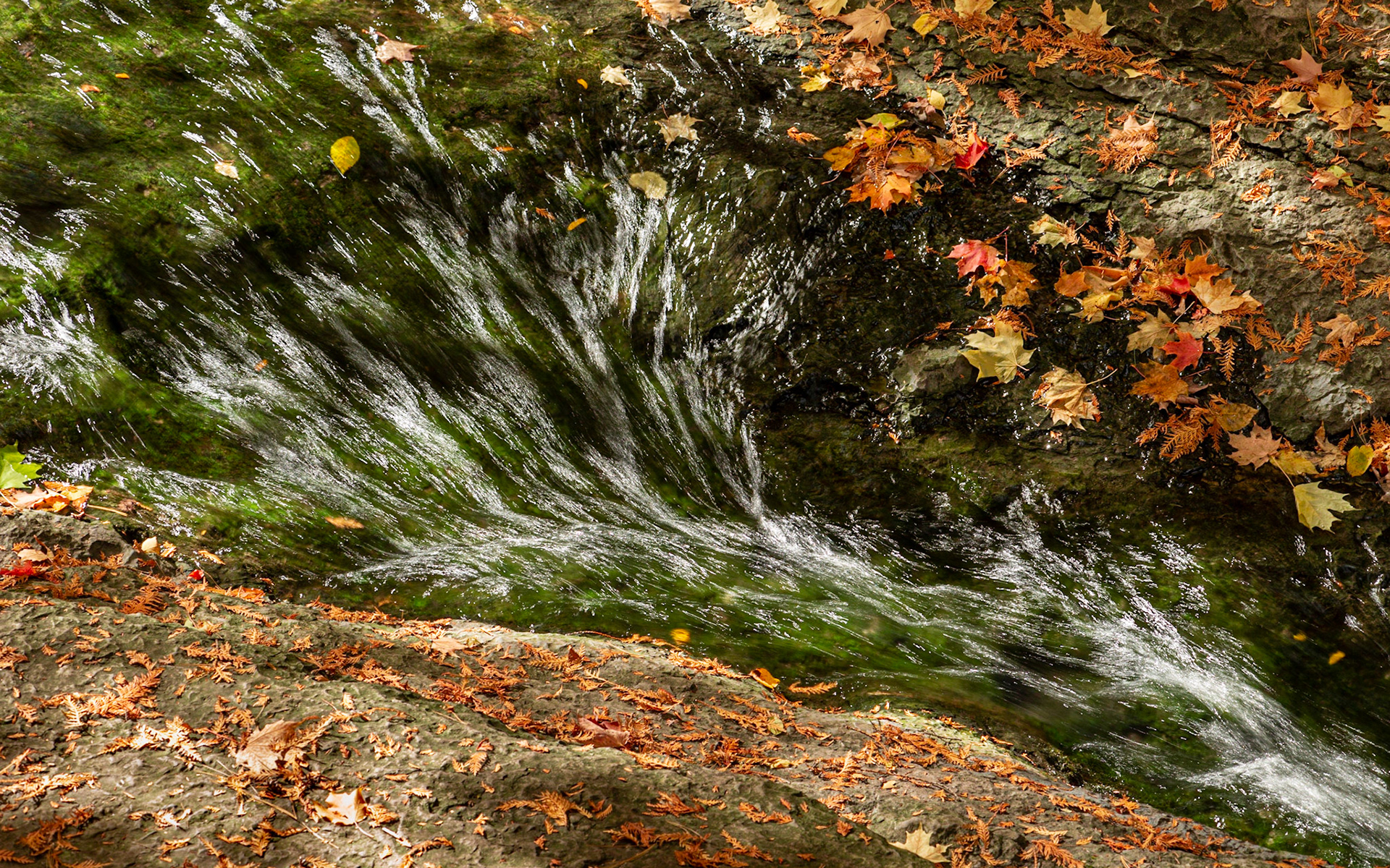 A slow shutter speed helped to emphasize the speed of the rushing water. I thought the green algae of the brook bed contrasted nicely with the fall leaves.
