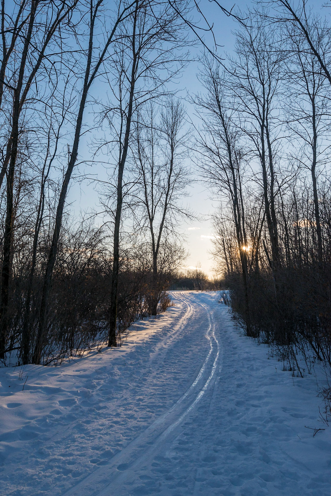The angle of the sun serves to highlight the ski trails in this shot.