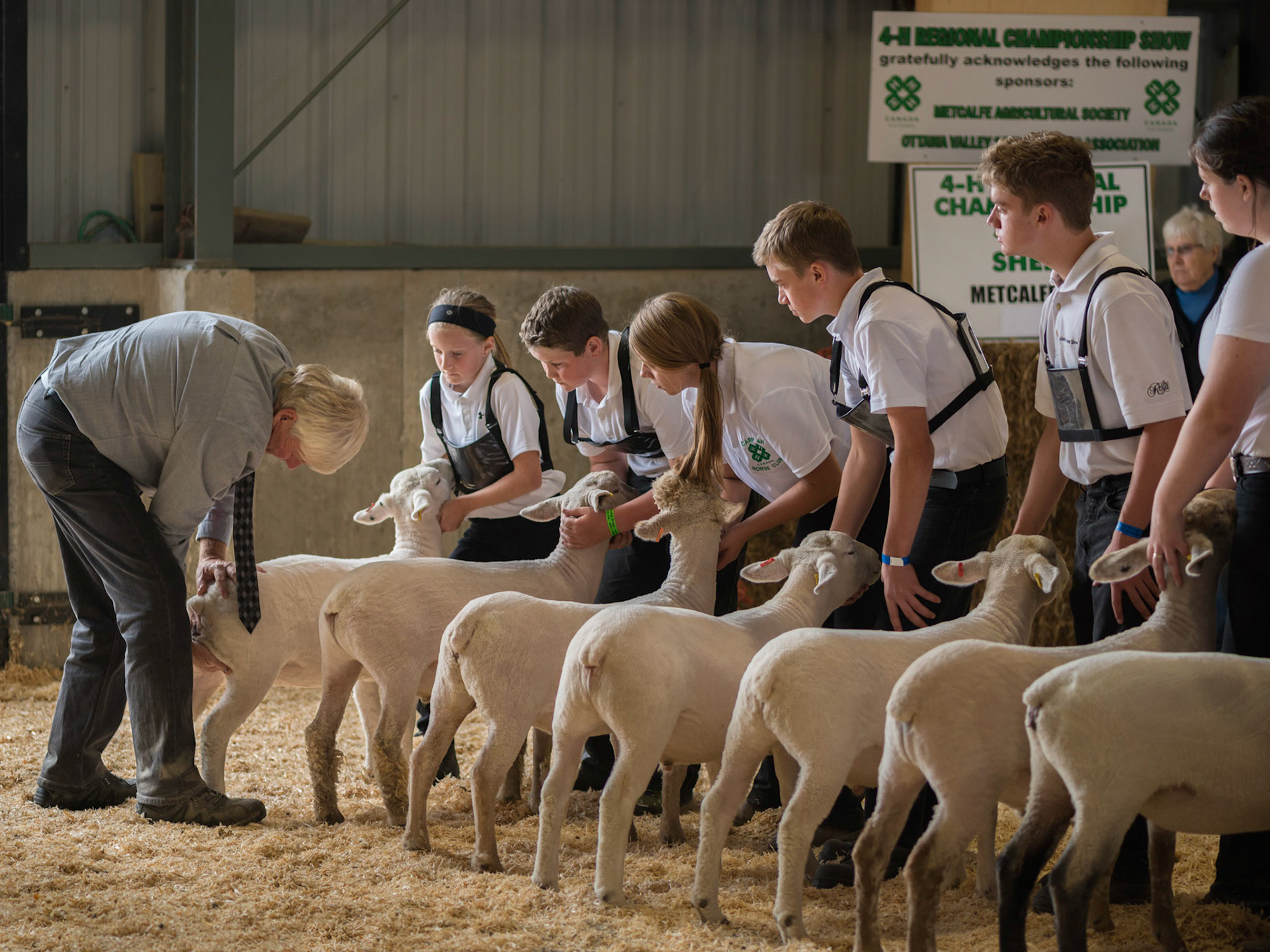 This photograph is all about repeating shapes and implied lines converging on the judge.