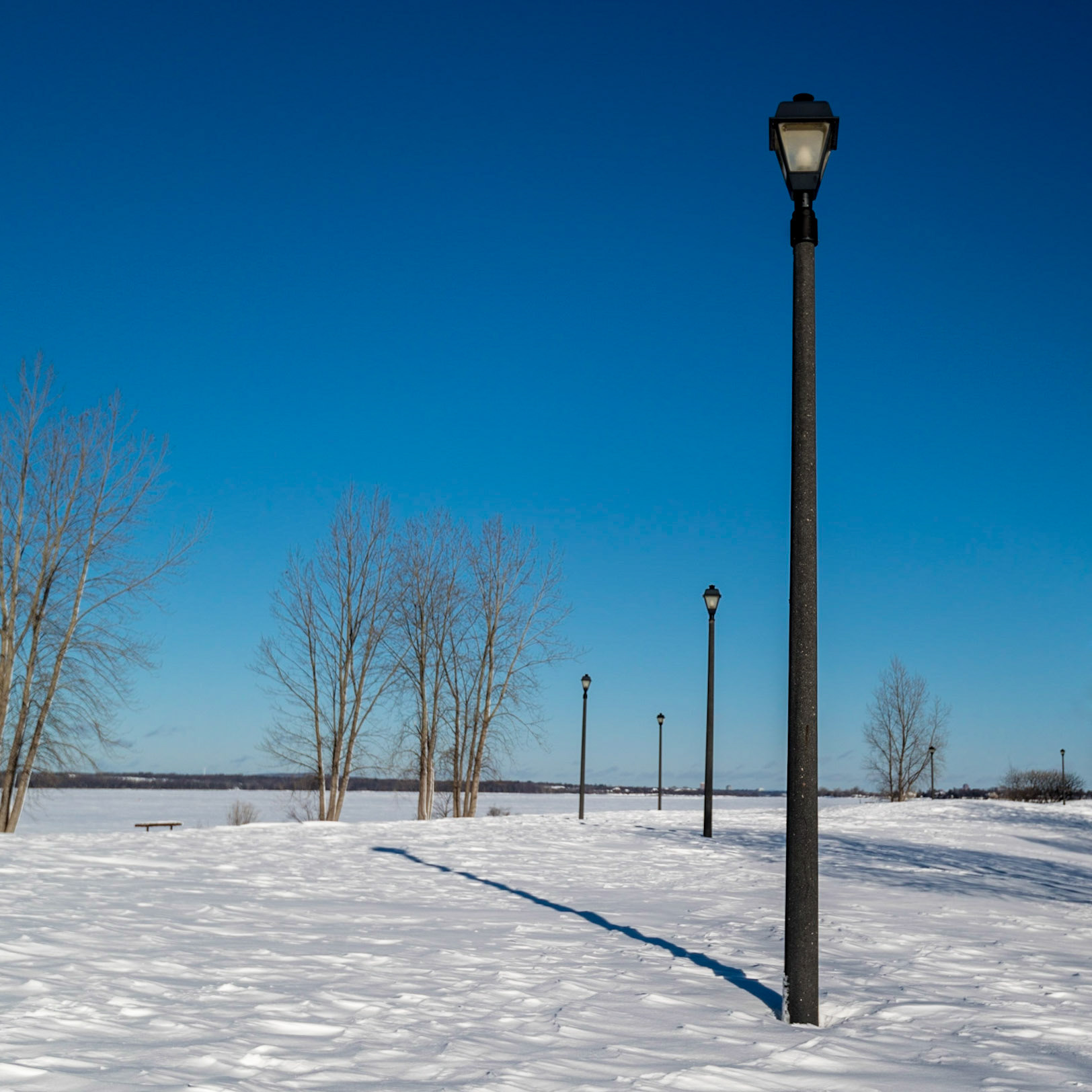 Dick Bell Park, Ottawa, Ontario; January 2013