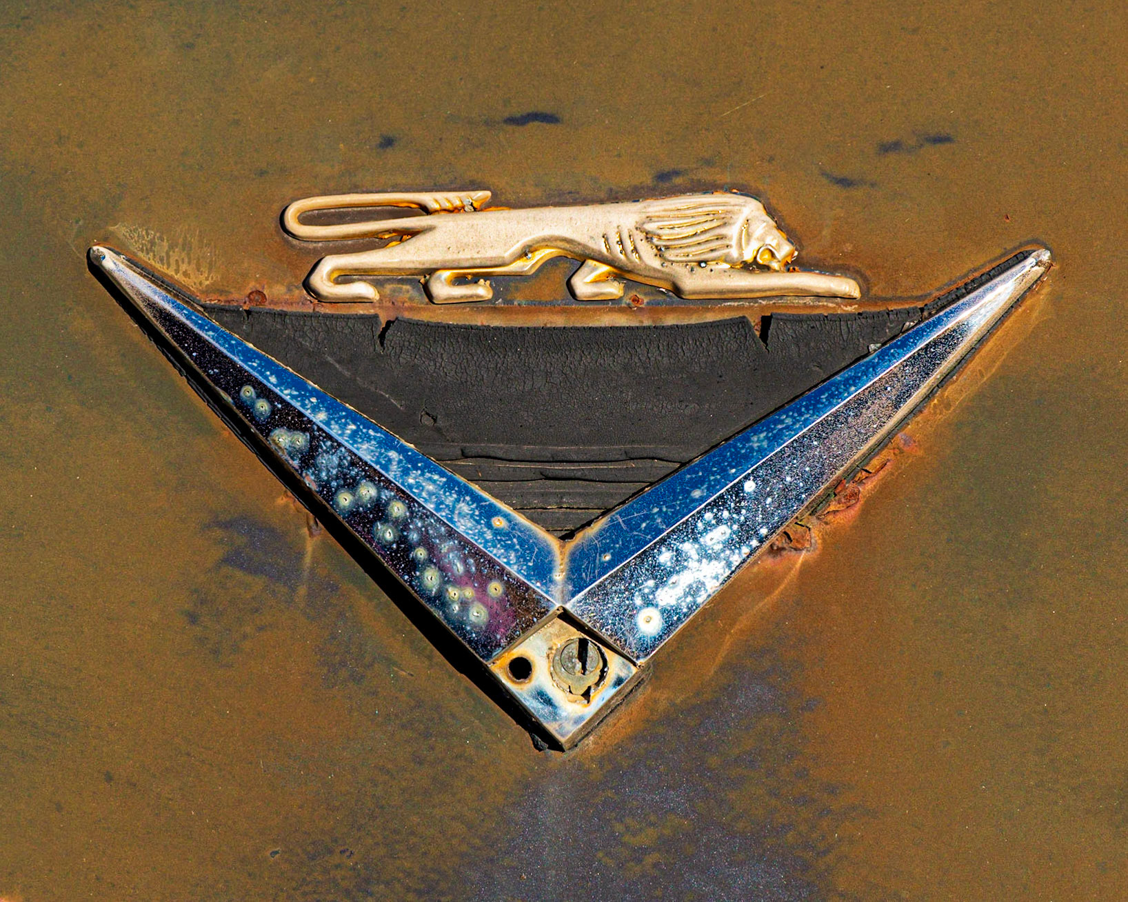 I found the blue/orange contrast in this car decal very compelling. Otherwise, it forms a strong triangular shape which I think works well centred in a rectangular frame.