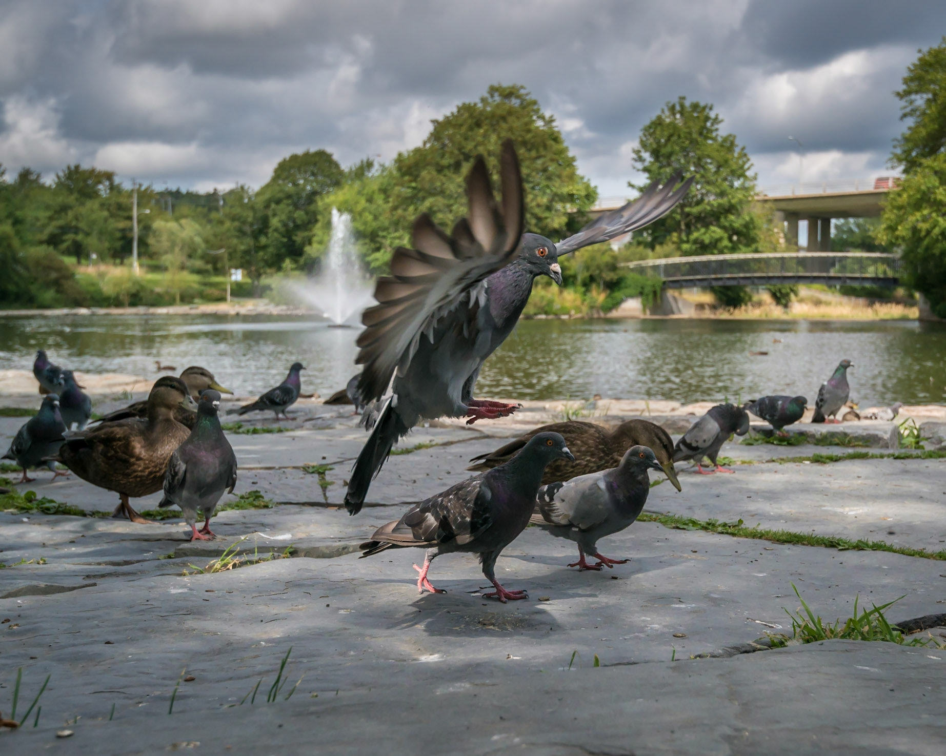 Bowring Park, St. John's, Newfoundland; August 2013