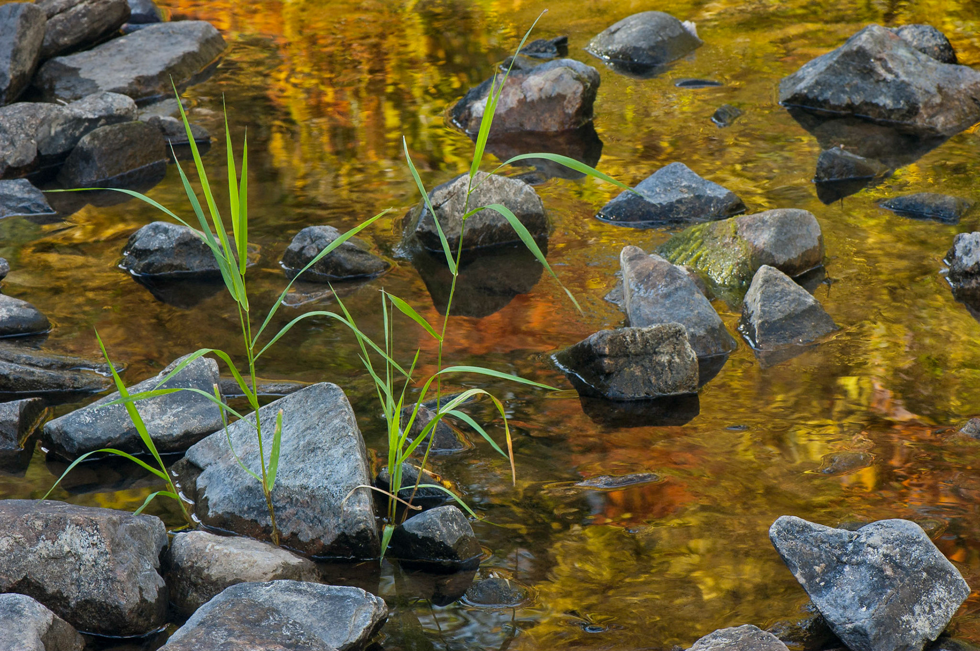 Mill of Kintail (near Almonte, Ontario); RA Photo Club Fall Challenge; September 2012