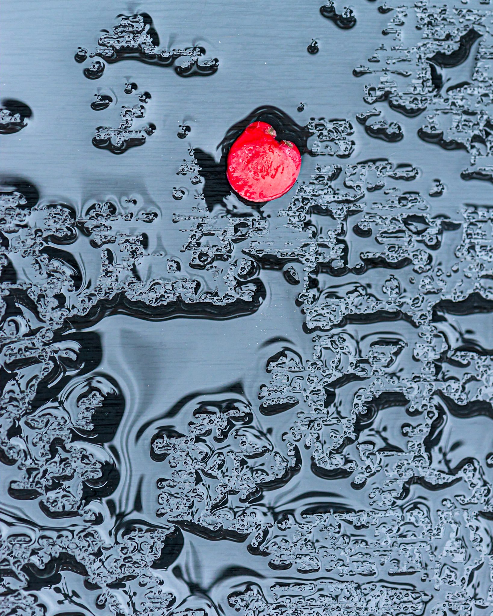 Interesting shapes and textures formed by the rain with a bright red leaf offering a spot of drama. My eye travels back and forth between the large shape just below the centre and the leaf.