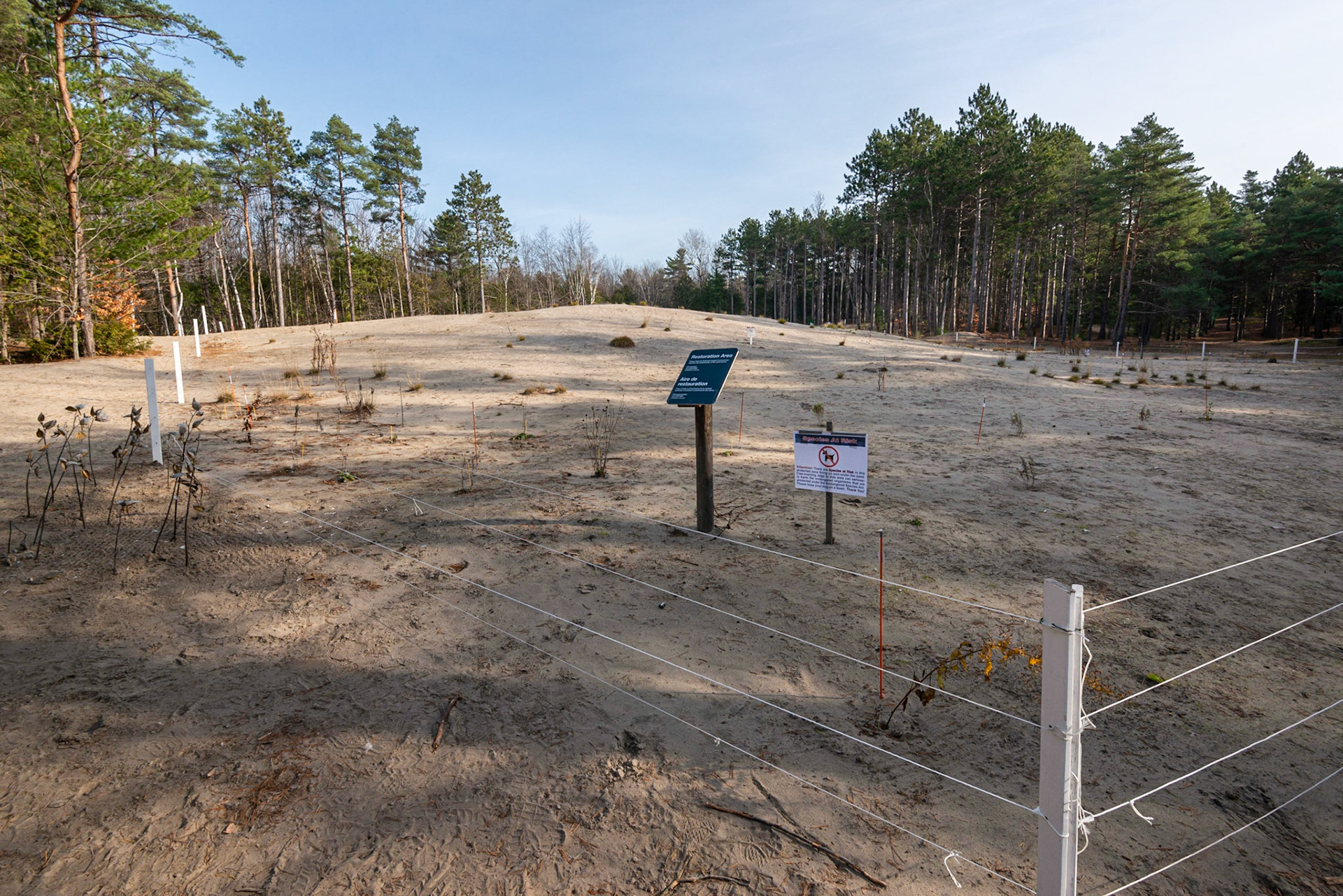 Site 2. Fence and signage intended to protect the ecologically sensitive area.