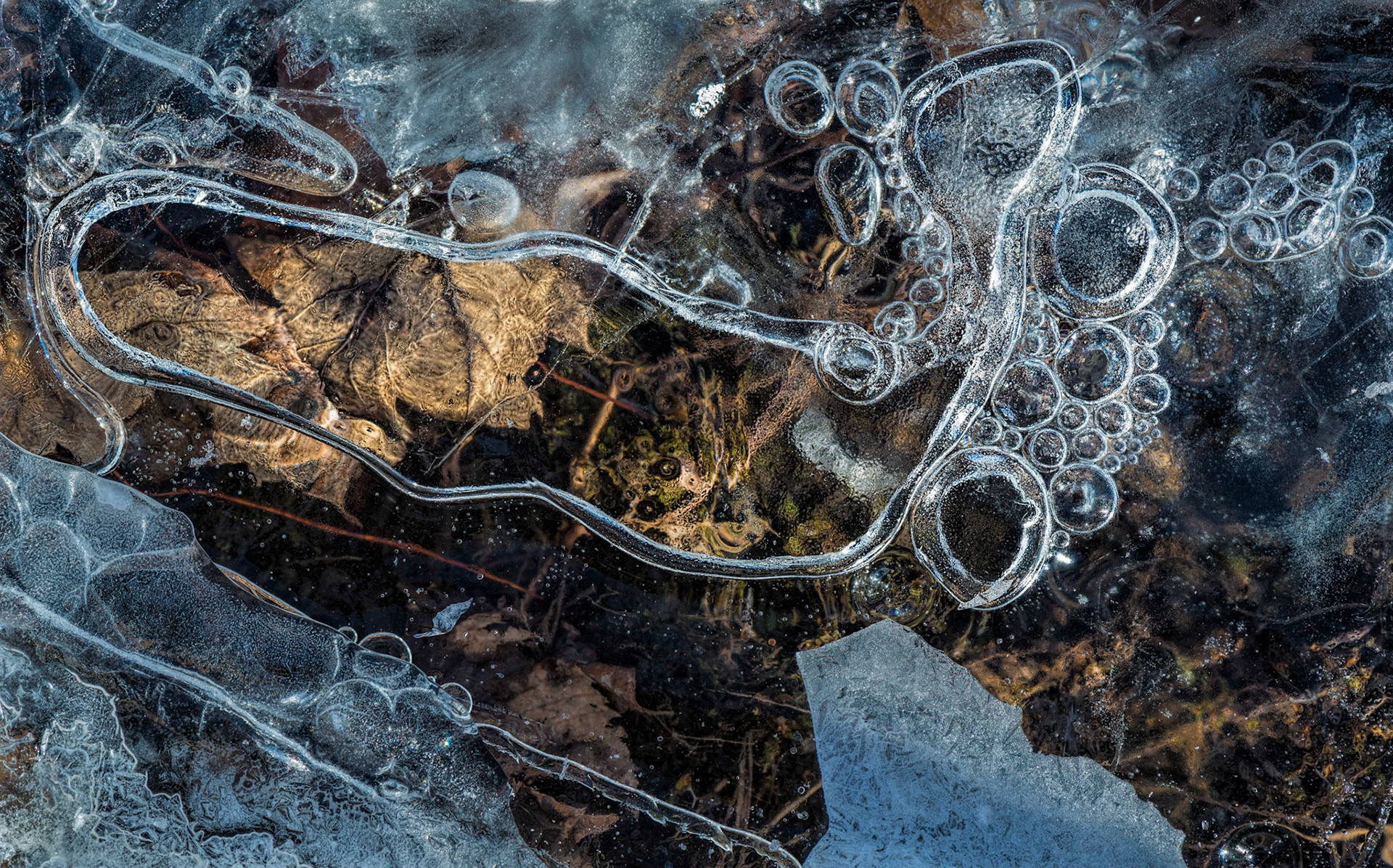 I found many interesting shapes in the ice; this one obviously resembles a footprint.