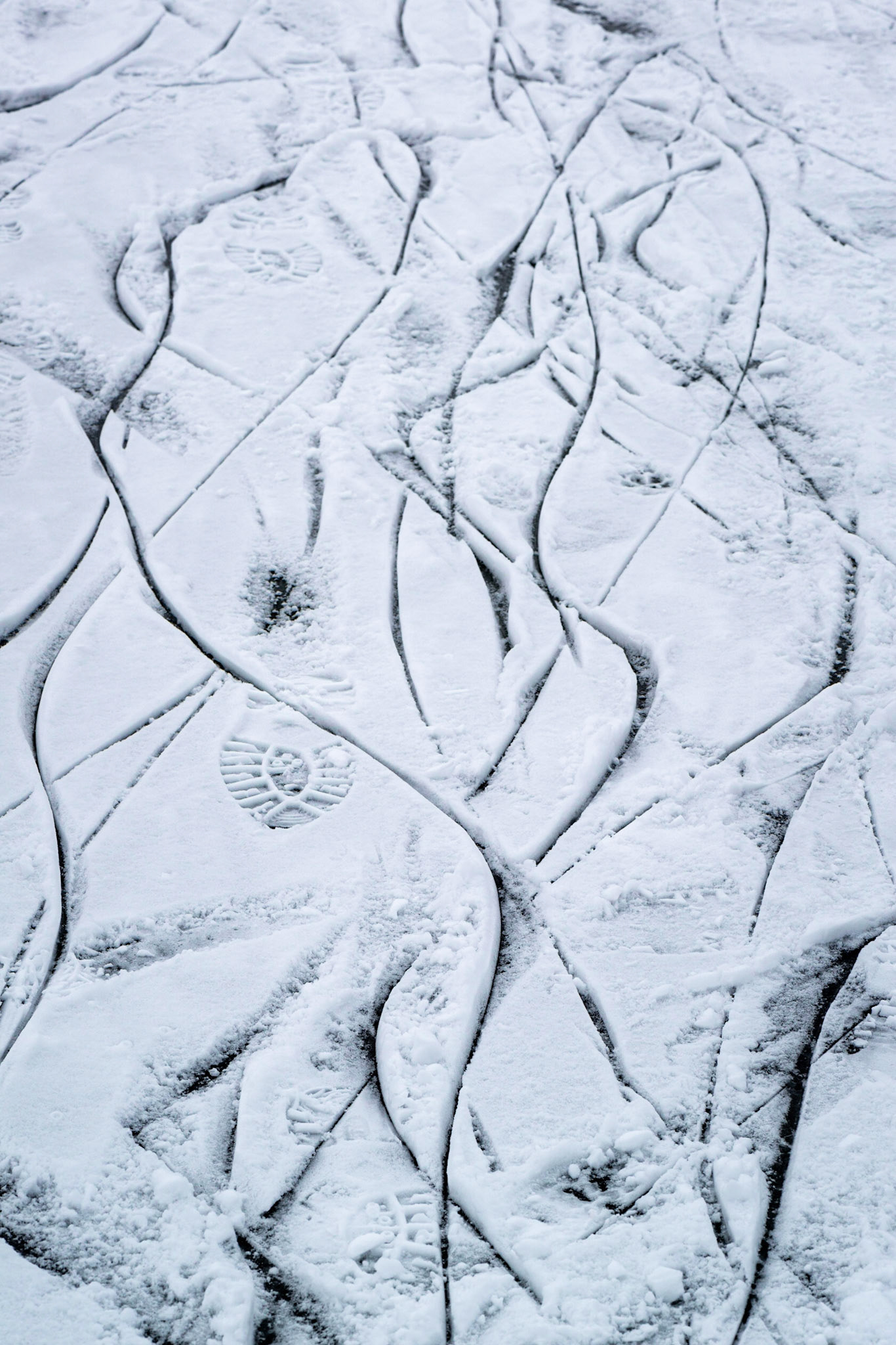 People skating on the frozen lake left a series of interesting lines. I included the boot print for a contrasting element for the eye to rest on.