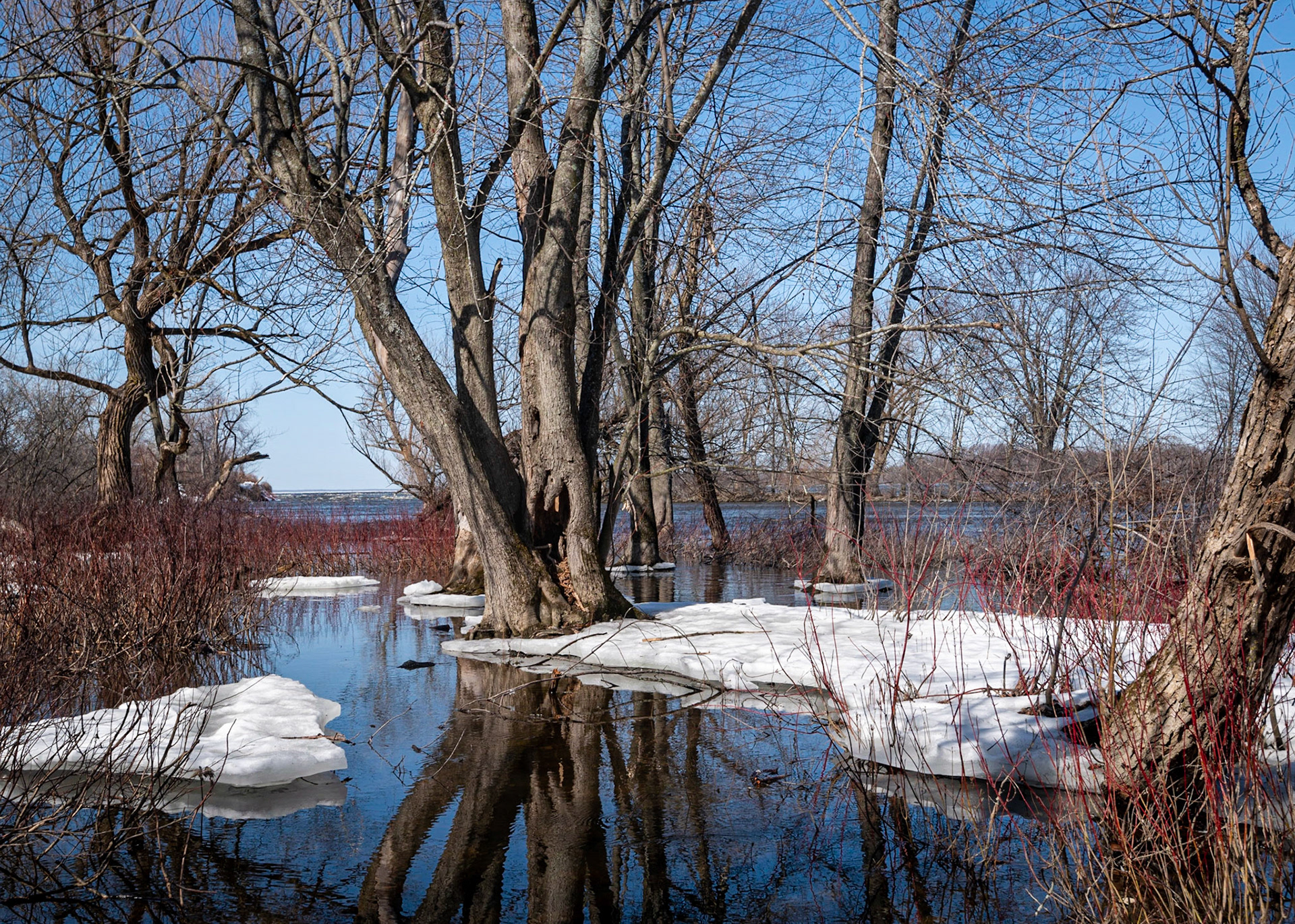 The reflection is what caught my eye and I took several shots from different angles to try to capture it.
