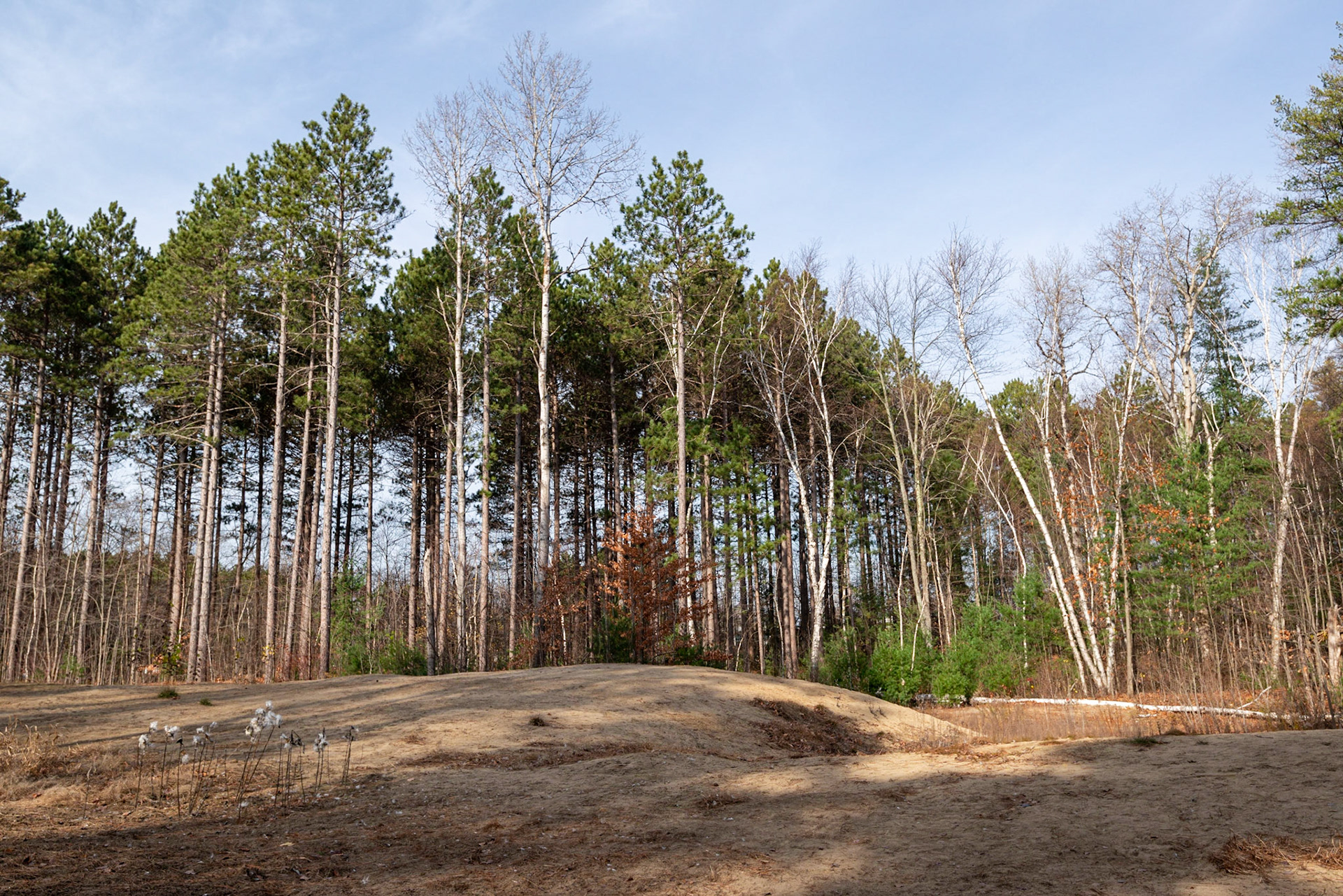 Site 3. A wider angle view of the area. I was probably on my knees, shooting through the protective fence.