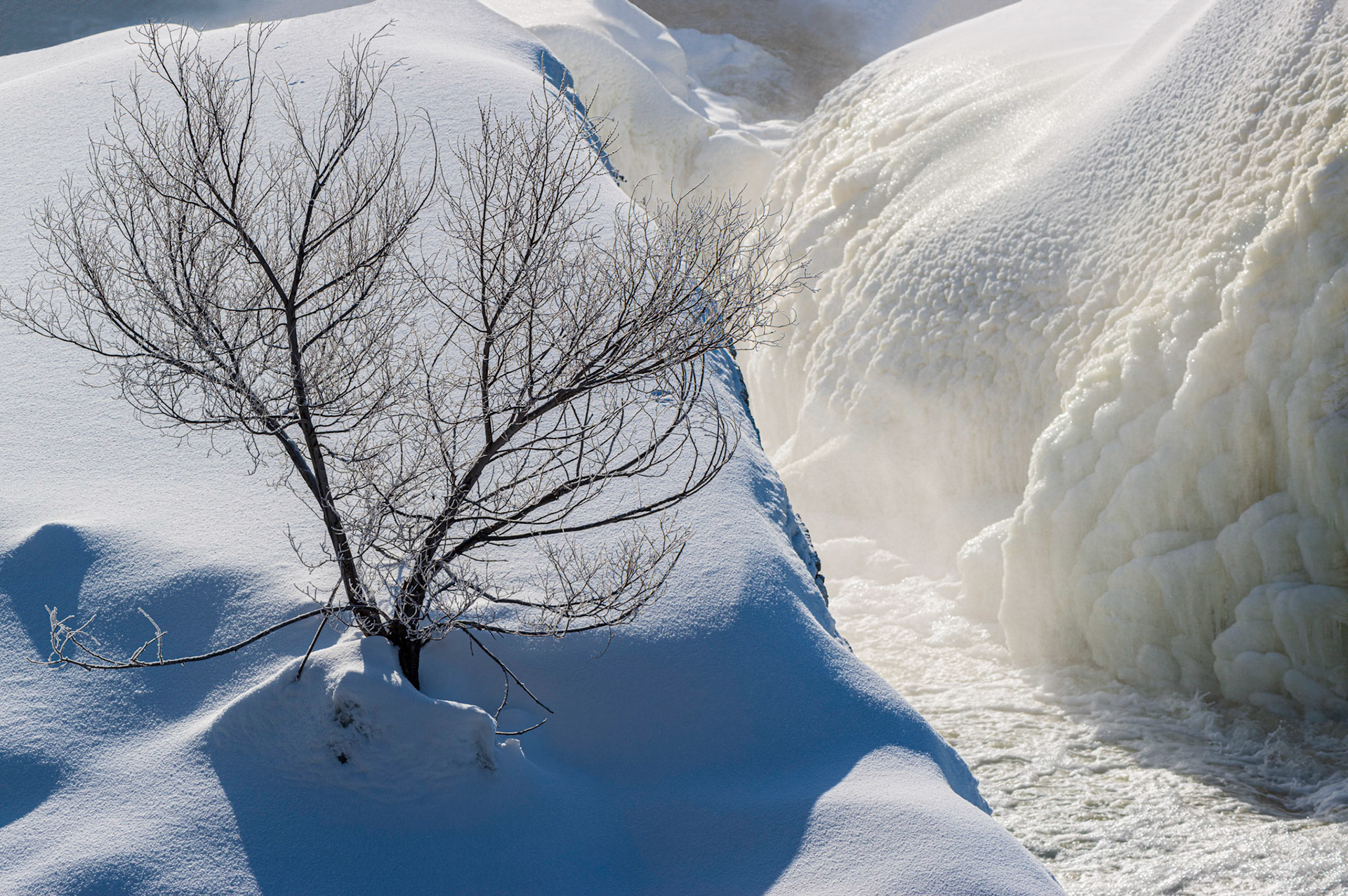 The tree grabs the attention, but there is also a blue/yellow colour contrast that divides the frame. The calm blue with the tree contrasts with the energy of yellowish tumult.