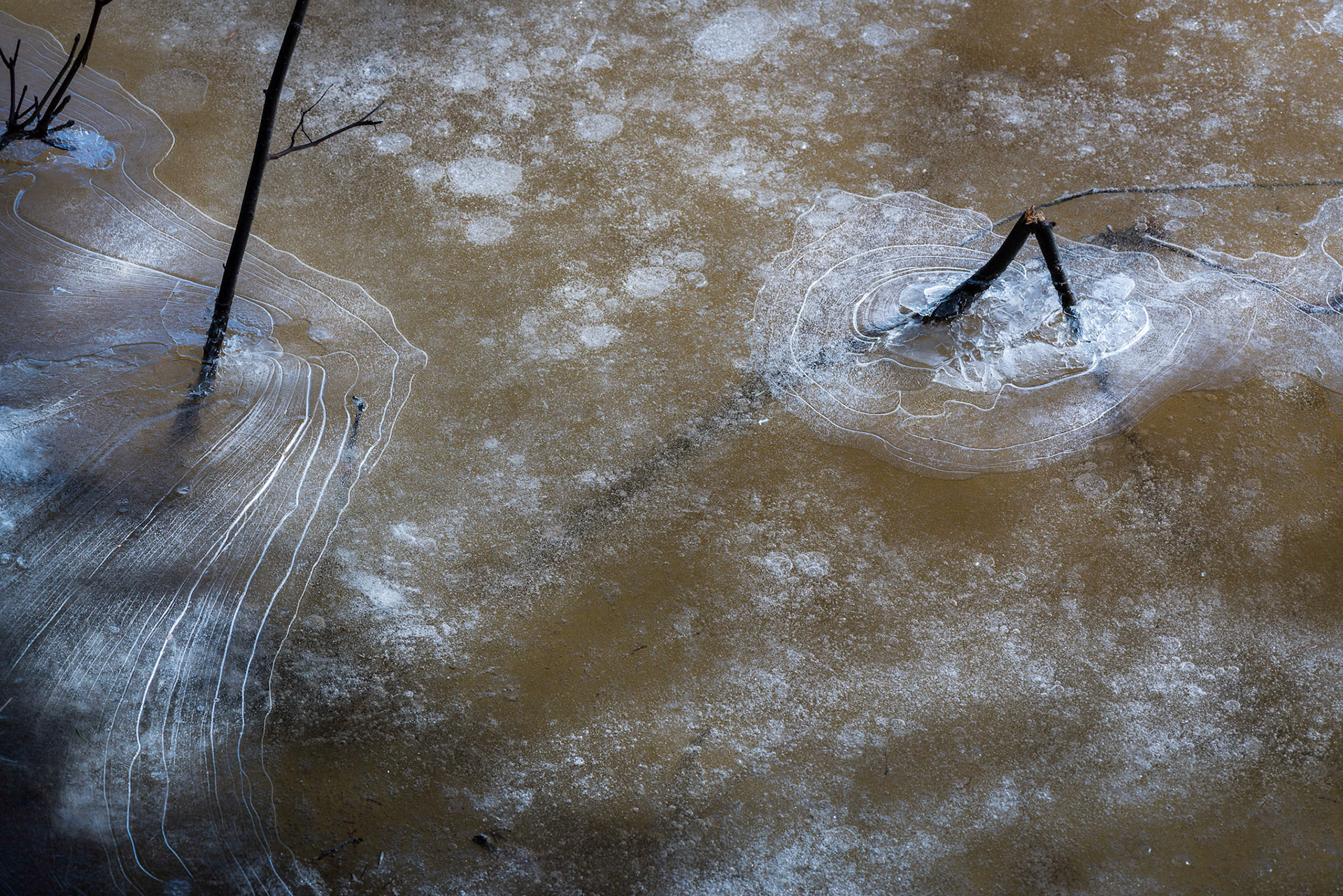 This shot was taken along the bank of the river preceding the waterfalls.