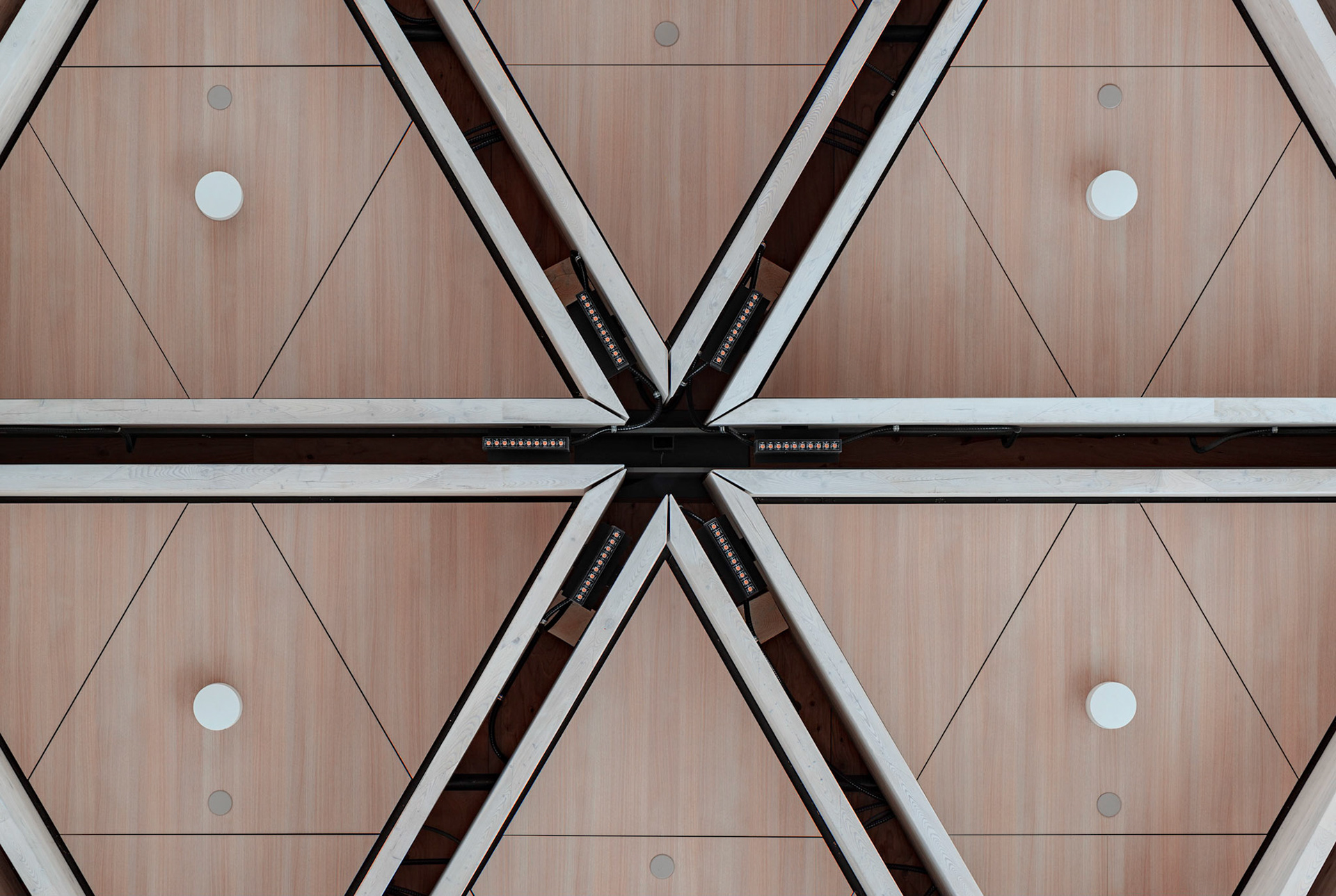 Purely a study of geometry and symmetry, this shot required careful camera positioning to get just right.