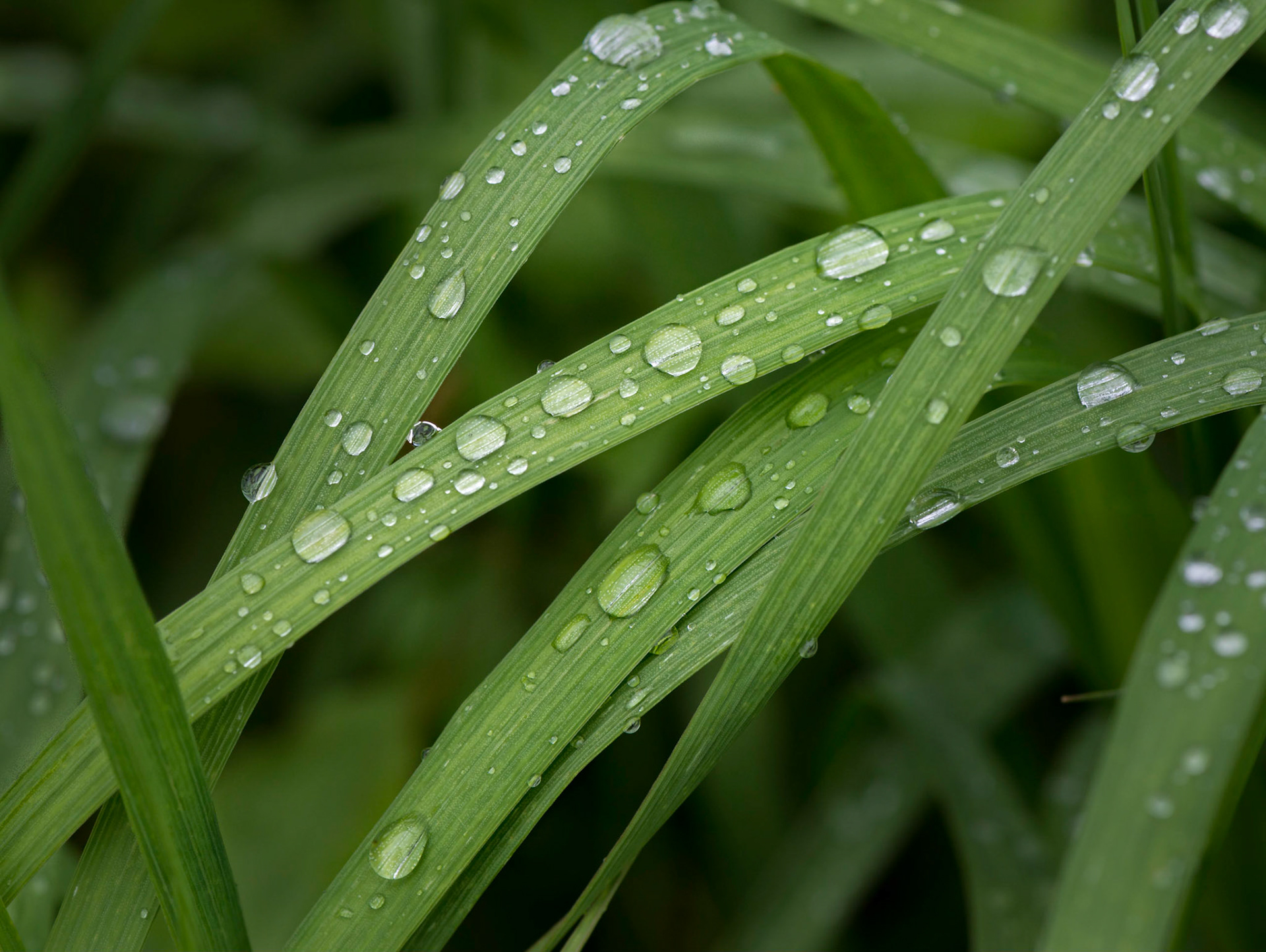 I took several shots like this, but I find this one the most interesting. It's basically a study in lines and circles.