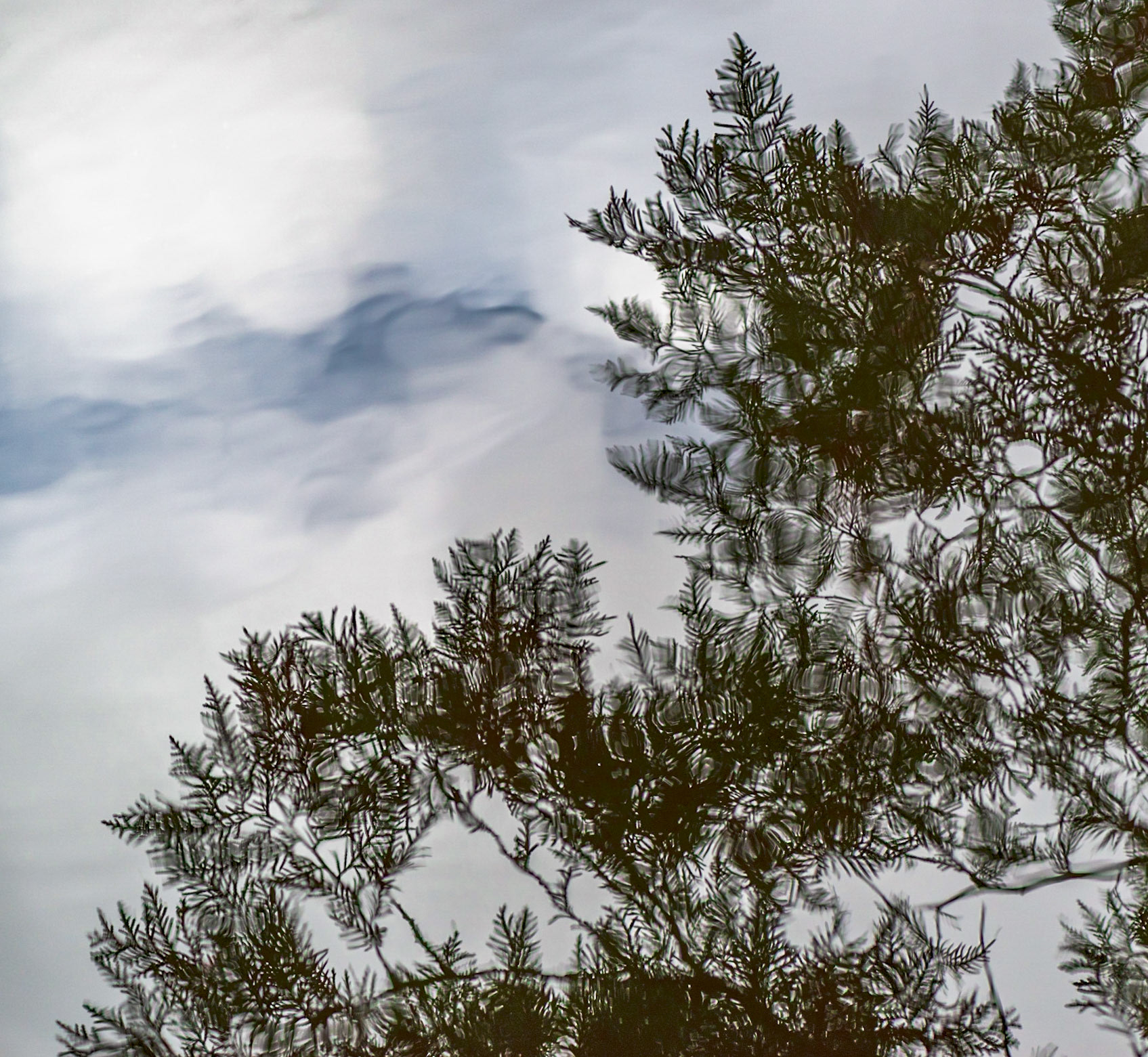While we know what this is, the ripples in the water serve to give it a somewhat surreal feeling.
