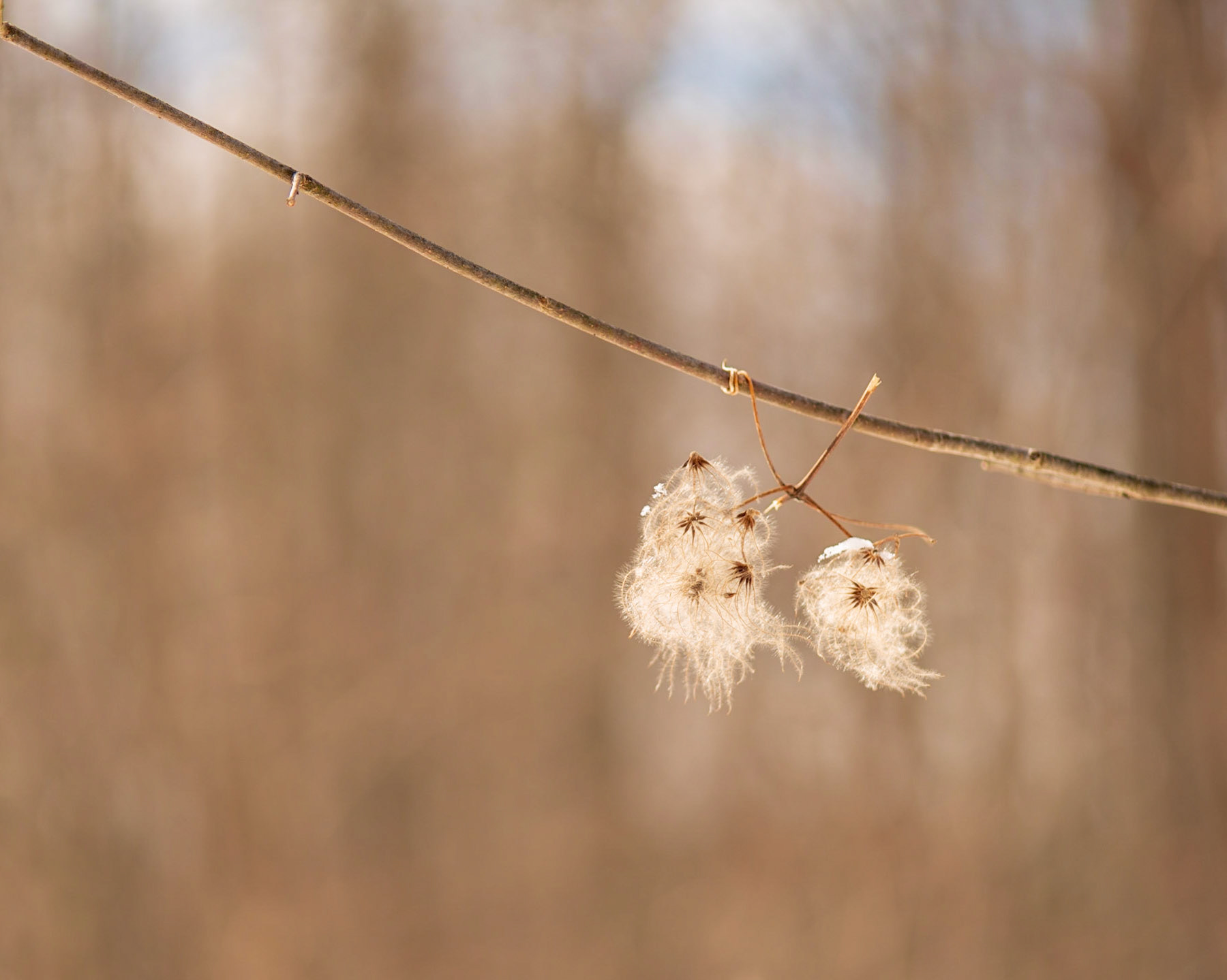 I took several shots of this, some closer and others, like this one, a bit further away, trying to minimize the detail in the background.