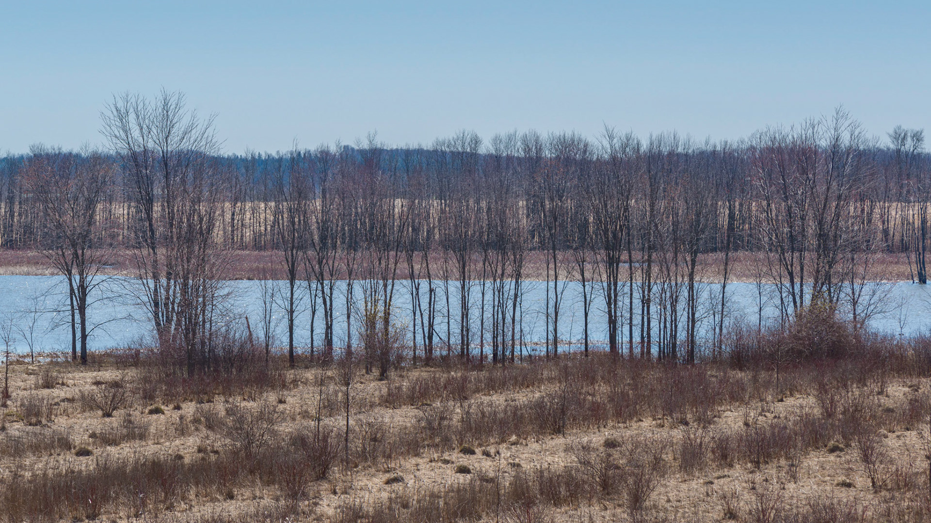 A bicycle trail provided a handy means for exploring part of the park. Here, my eye, was attracted by the pastel colours, horizontal layers, and the diagonals in the foreground.