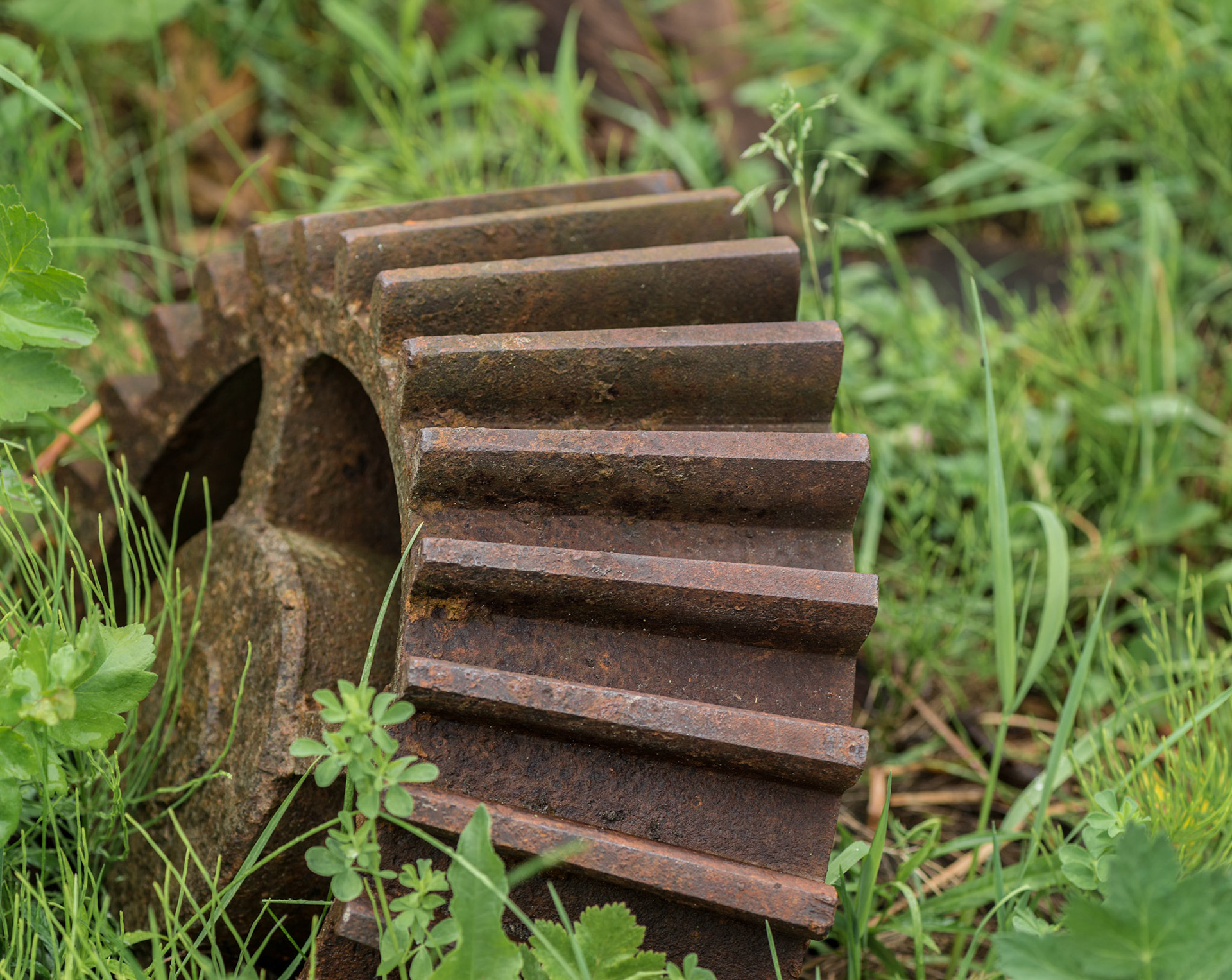 This gear can be found outside the Steam Flour Mills at Upper Canada Village. Colour contrast and texture were emphasized.