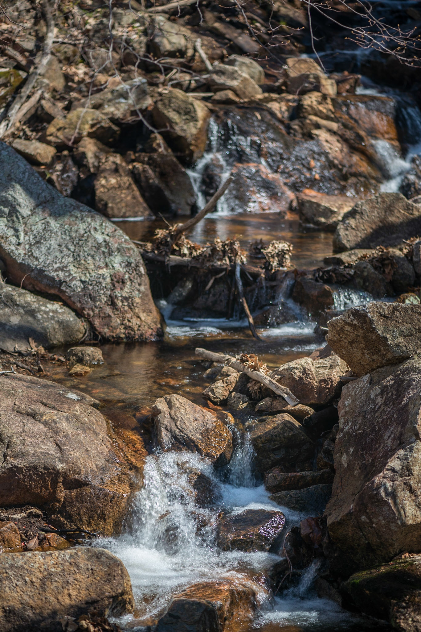 The water from Luskville Falls drains off through a creek, and this is a detail of one small sectiion.