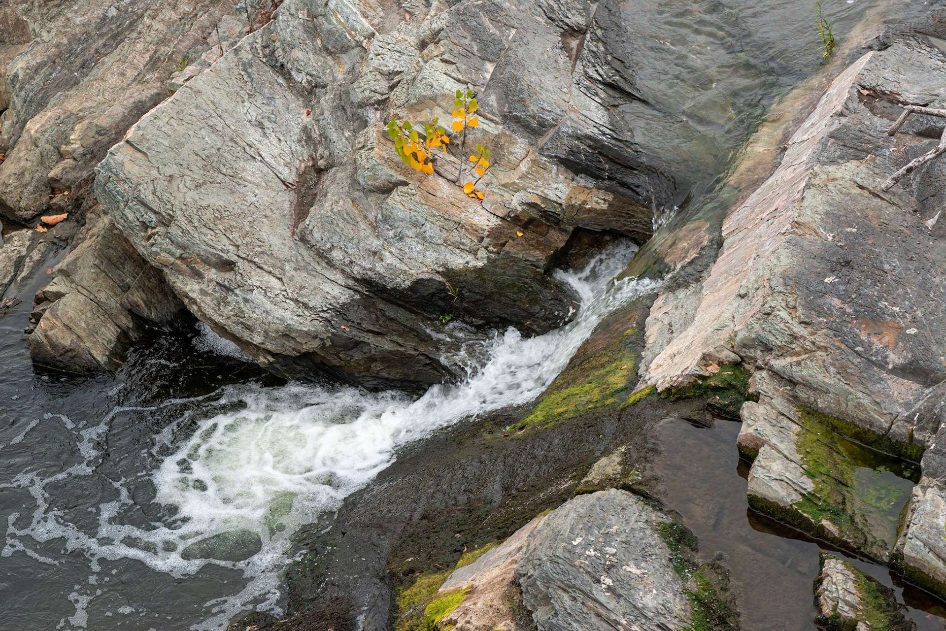A small waterfall, dwarfed by the tumult out of the frame around it.