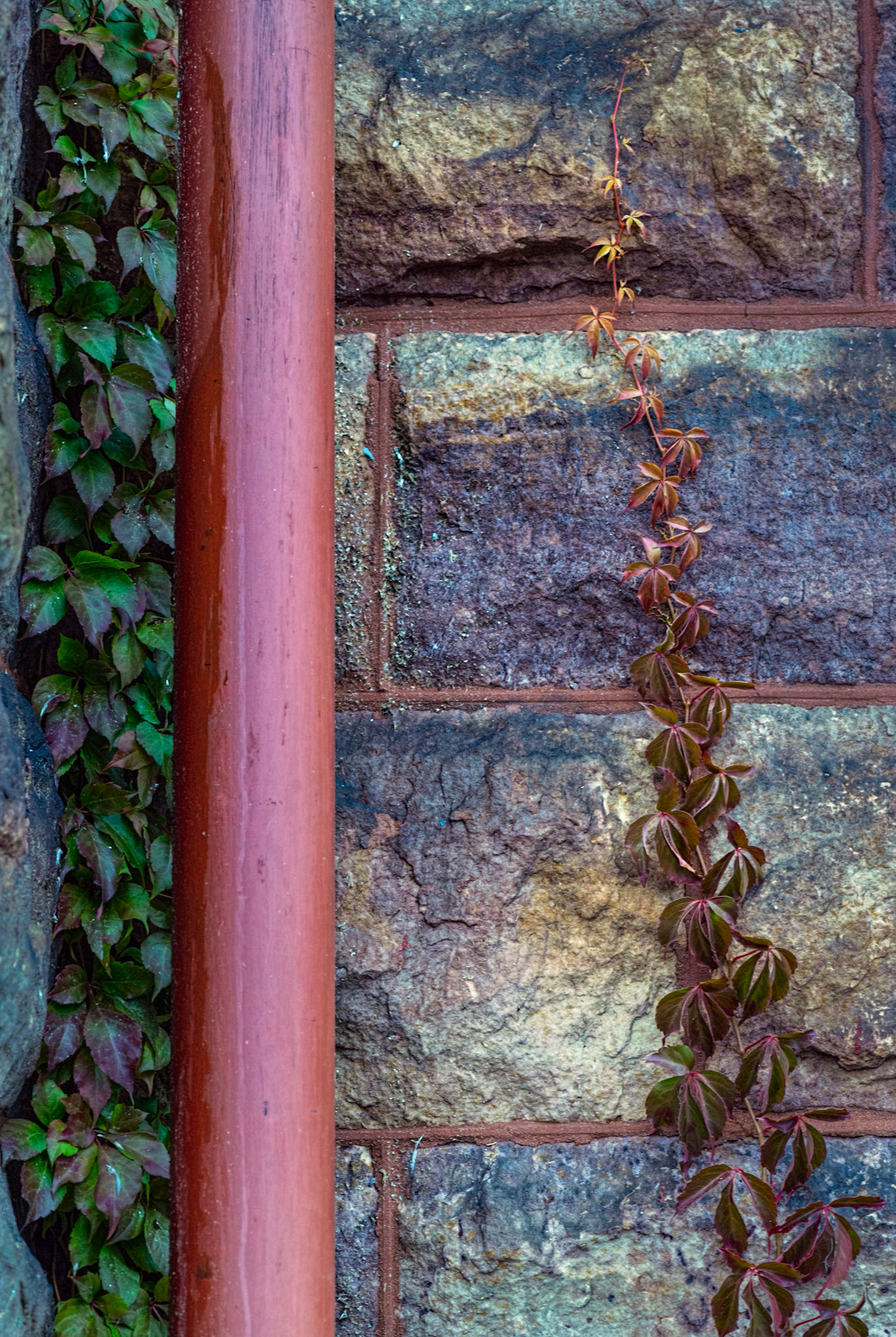Smith's Falls is full of old stone buildings, and this detail caught my eye as I walked past.