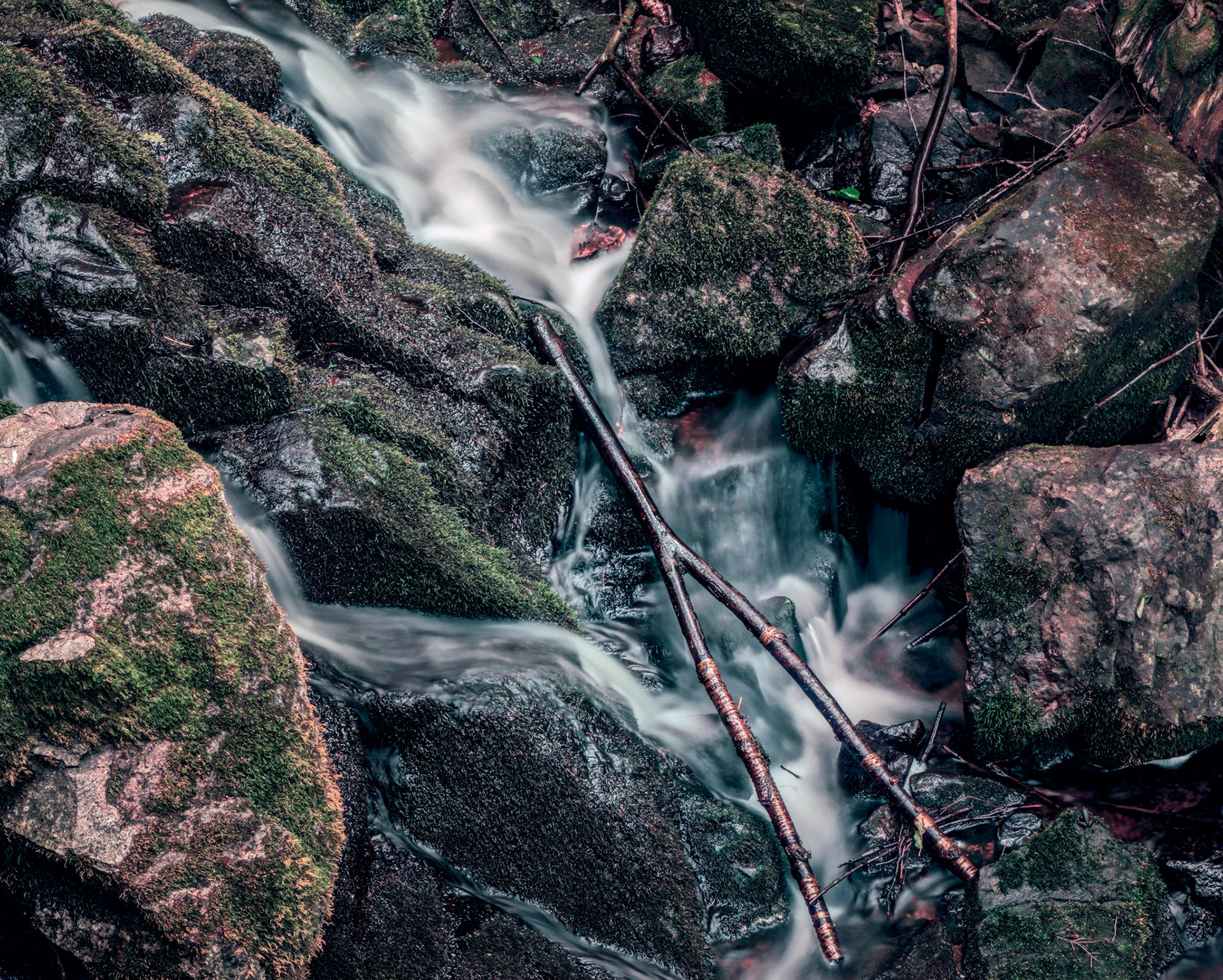 The position and shape of this stick was perfect in this detail shot of a small stream among the rocks.