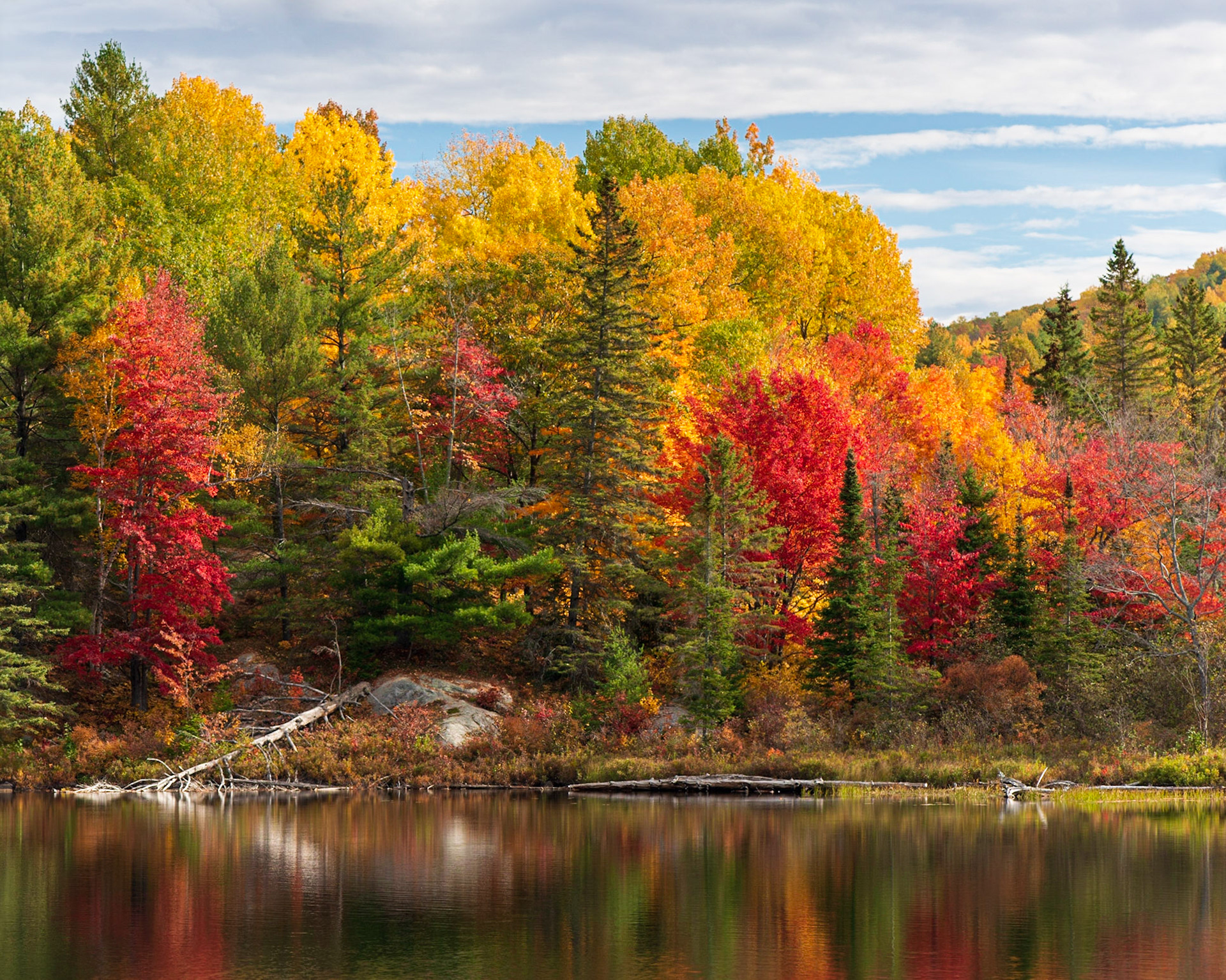 This shot is framed to sandwich the trees in the context of the sky above and the reflecting water below. The red tree and bright driftwood on the left are positioned to balance the strong area of red on the right.