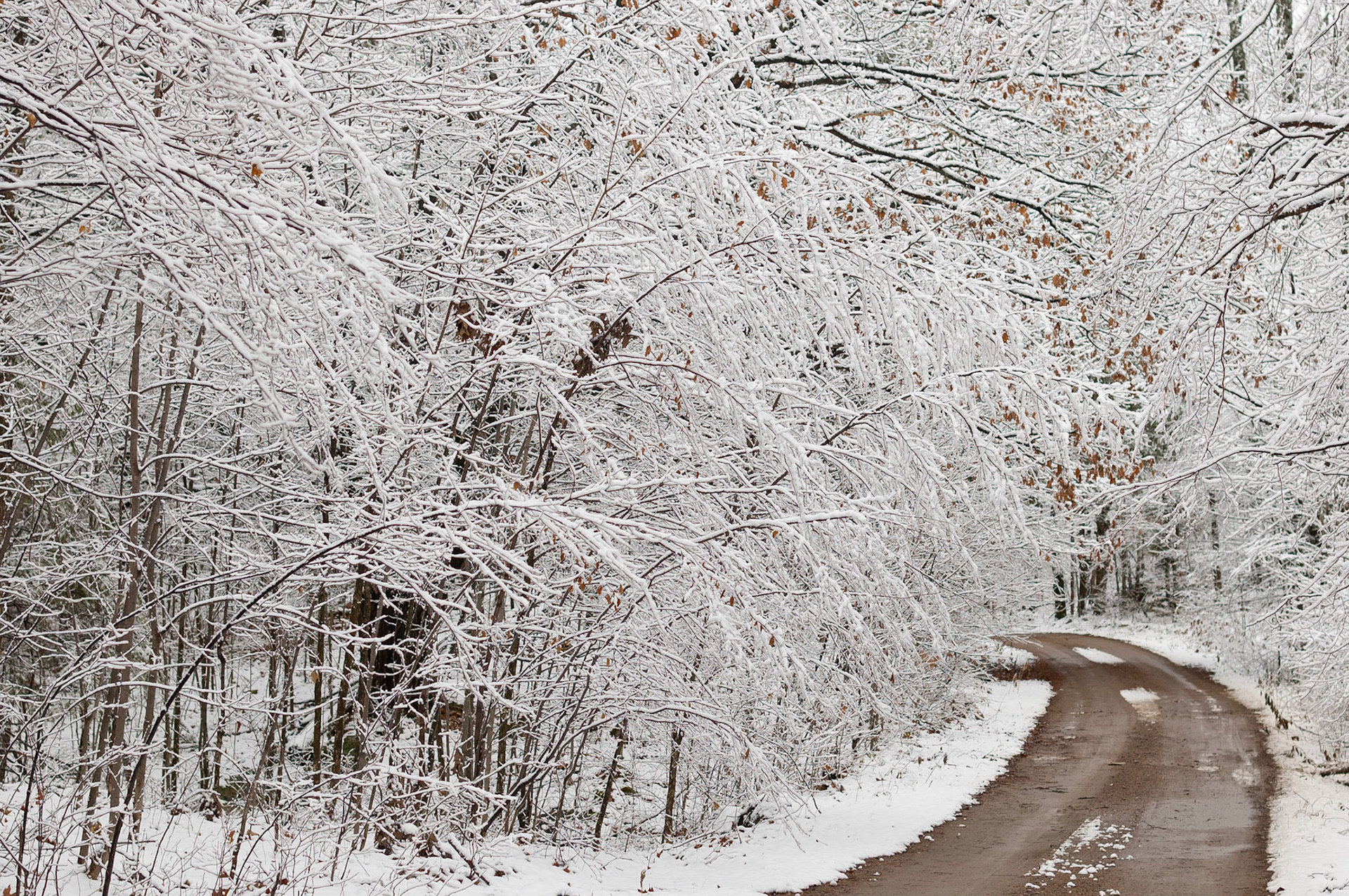 Near Cobden, Ontario; RA Photo Club Iron Butt Outing; November 2010