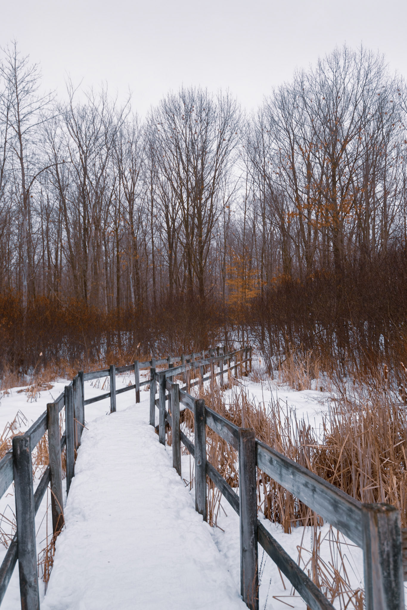It was a dull day with little colour other than patches of orange. Here, I'm using the bridge to draw the eye to the orange tree in the background.