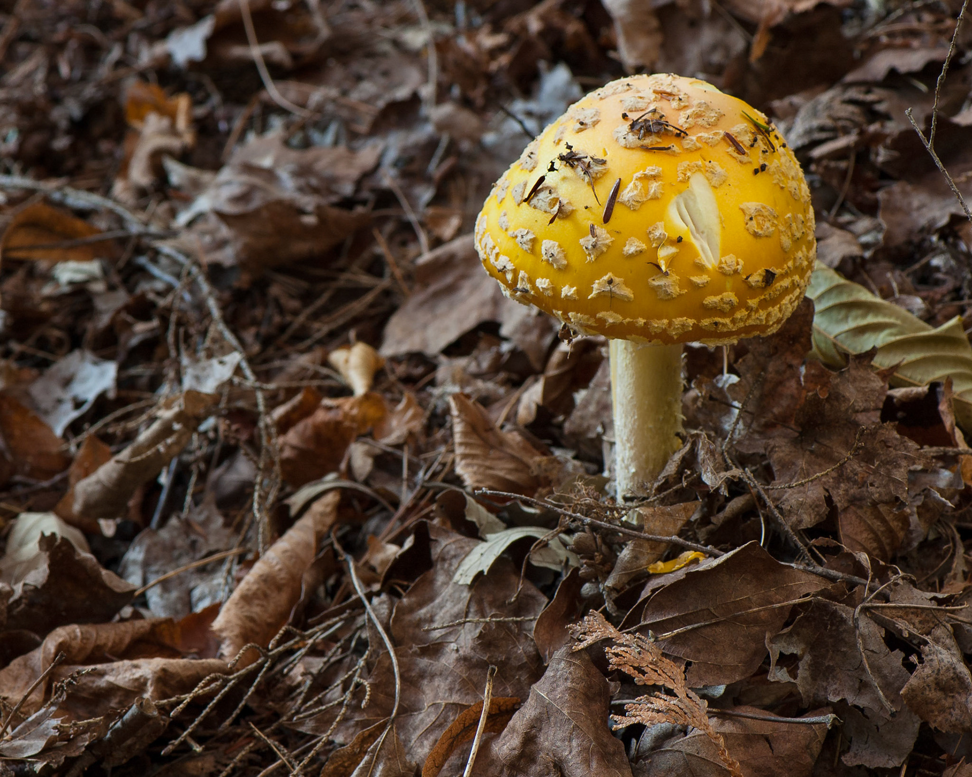 Mill of Kintail (near Almonte, Ontario); RA Photo Club Fall Challenge; September 2012