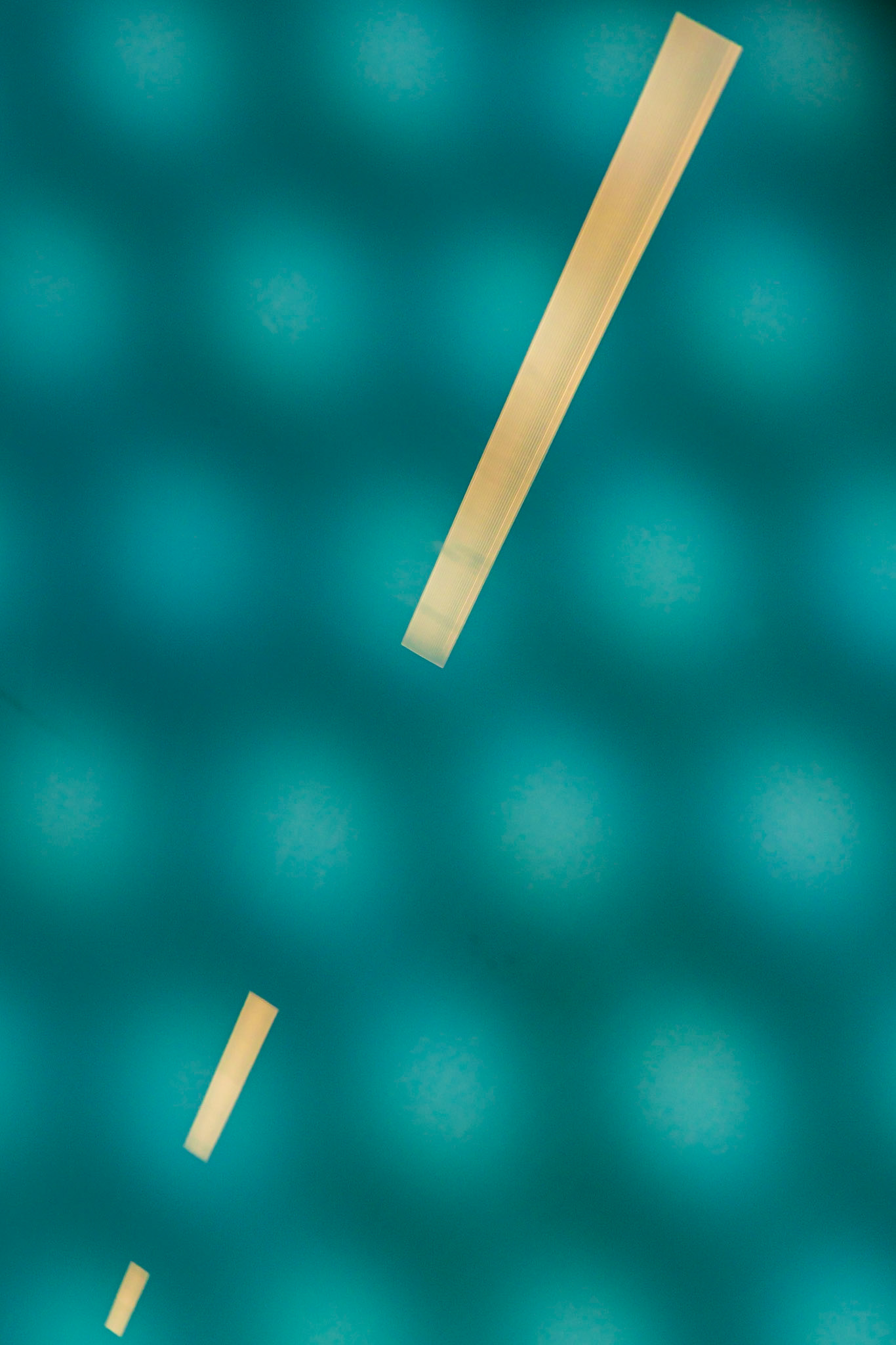 Rideau Station. I took this shot while waiting for our group to assemble at the meeting location. It has a strong diagonal set against a contrasting background.