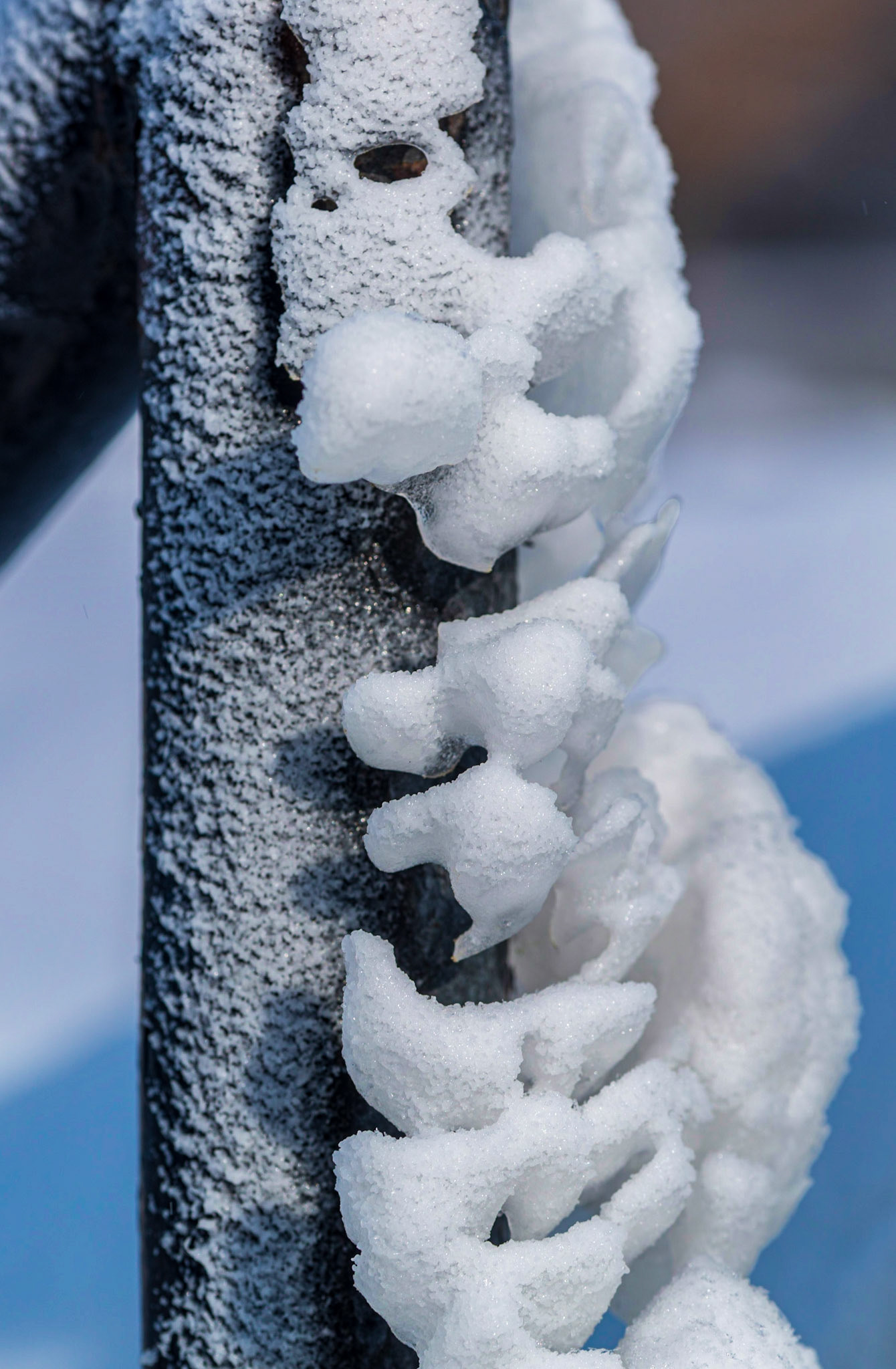 Ice crystals affixed to a handrail. The ice forms interesting shapes that contrast with the rigid lines of the handrail. The diagonals in the background add to the shot.