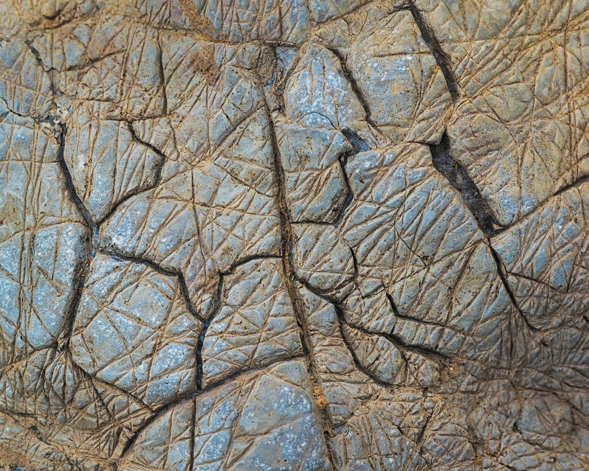 I'm in the habit of looking up, down and behind me while shooting, since you never know when you'll see something interesting. In this case it was a colourful rock with an intriguing pattern of cracks.