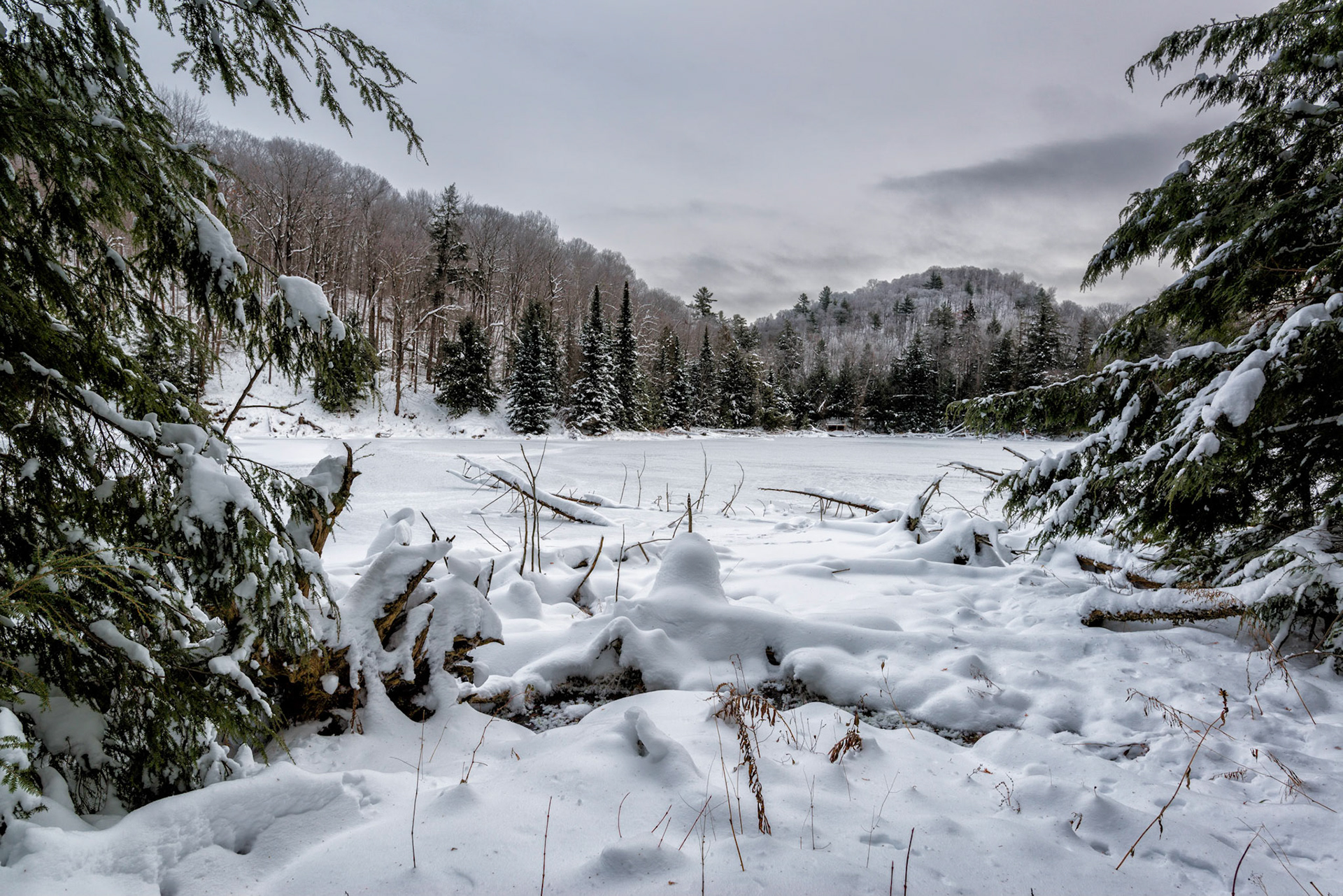 Foret La Blanche, Quebec; RA Photo Club Outing; November 2013