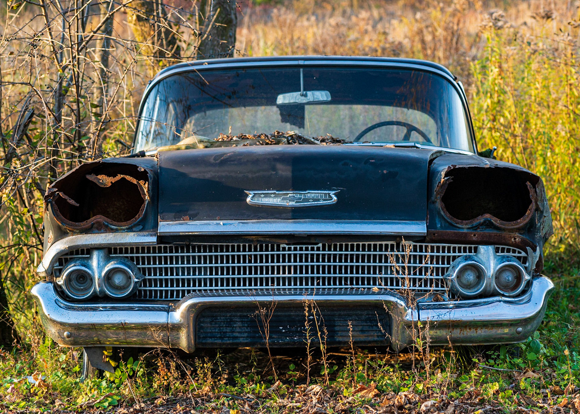 This old Chev was on the path leading to the junkyard and received attention from many photographers. I elected to use a tight, straight-on, framing to emphasize the strength of this once functioning car.