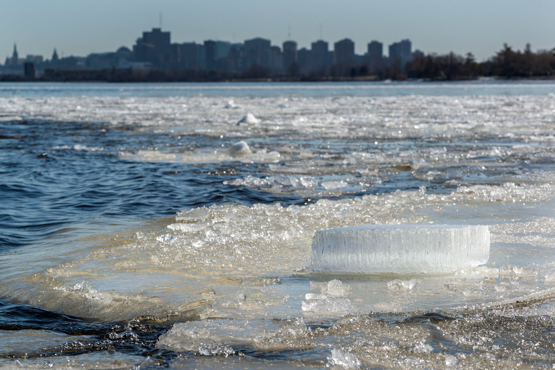 These plates of broken ice must have been colliding and sliding up on each other at some point. At least that's my guess for how this block of ice ended up where it was.