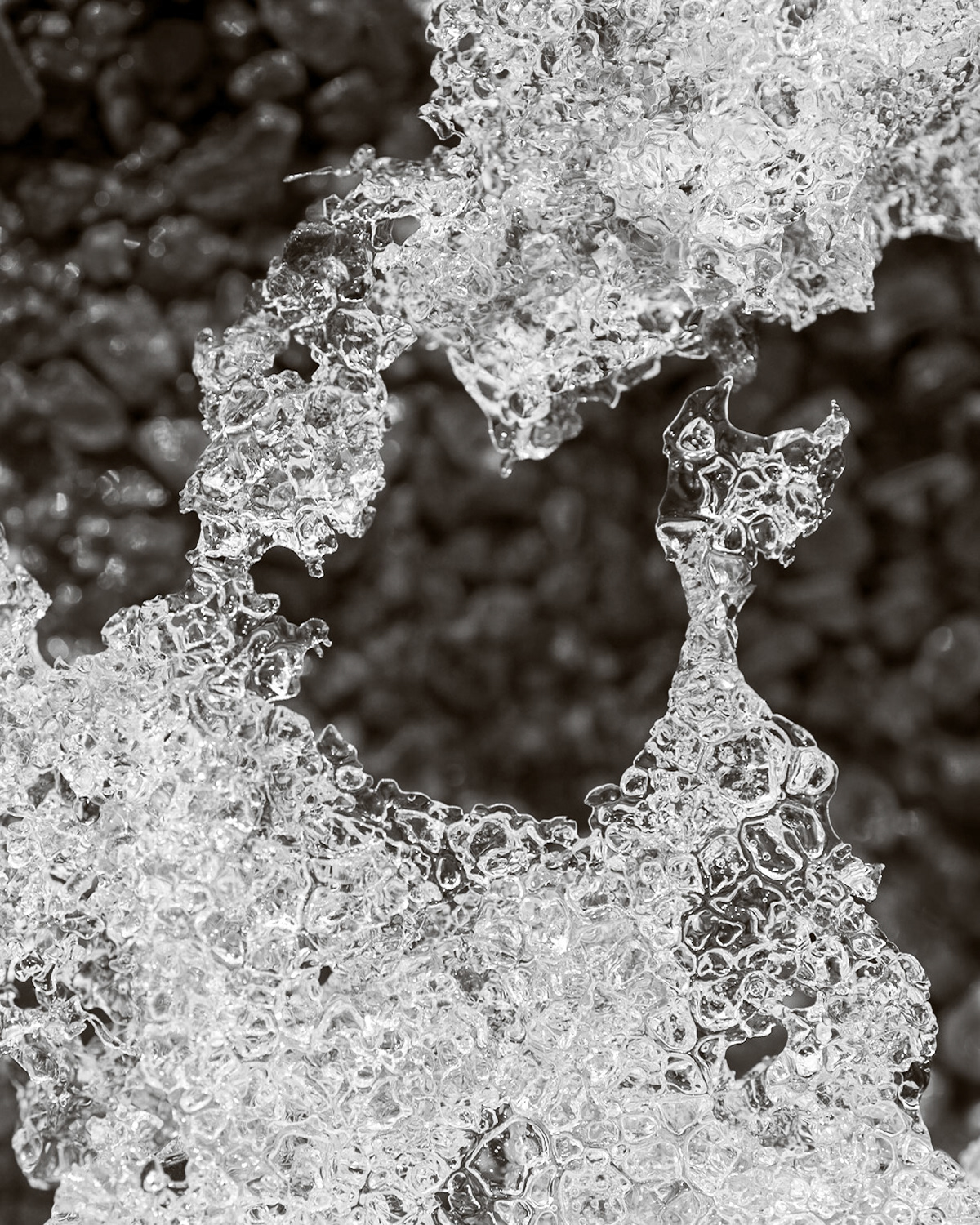 Everywhere there were interesting shapes in the ice. These delicate fragments were quickly melting in the muted sunlight.