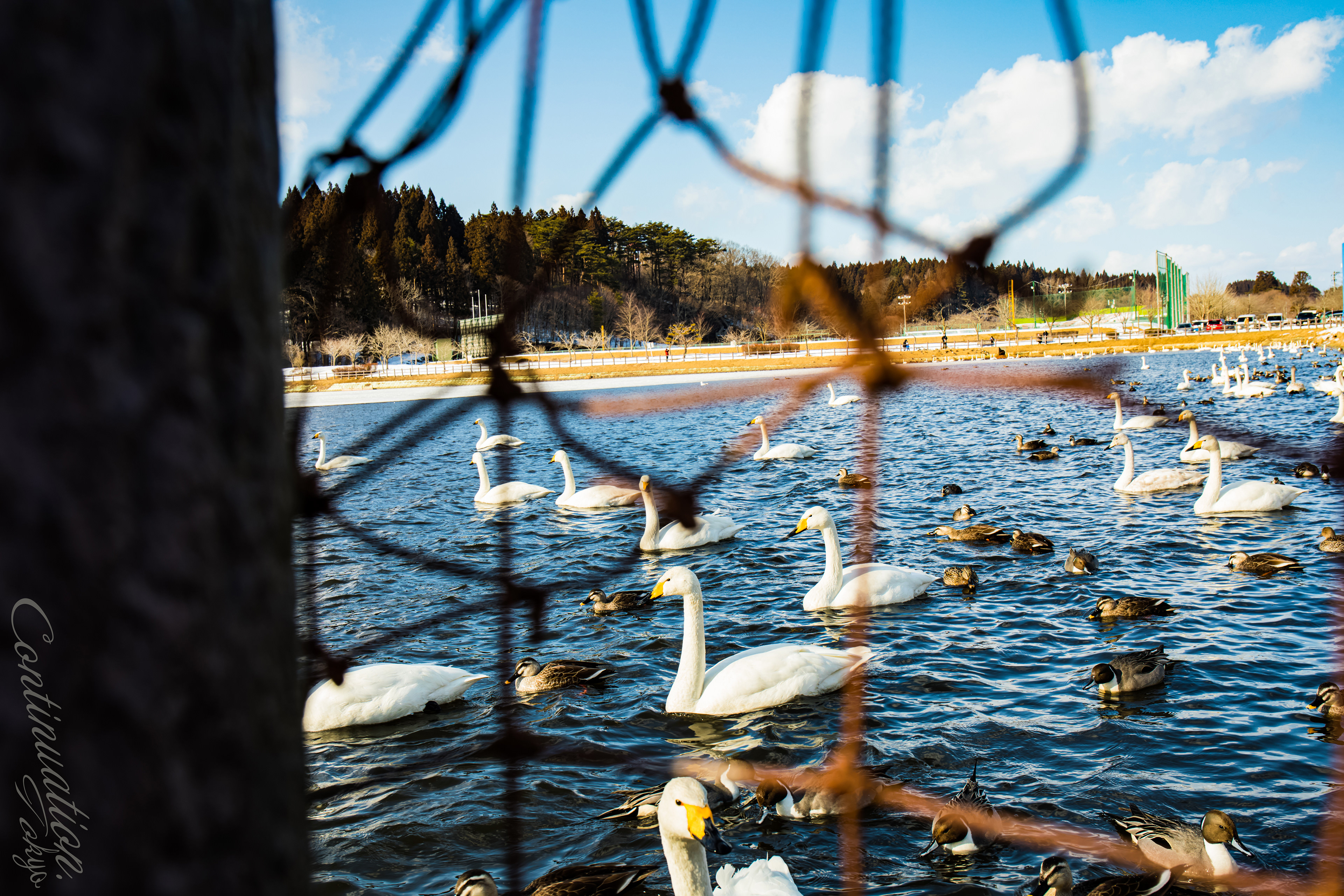 下田公園