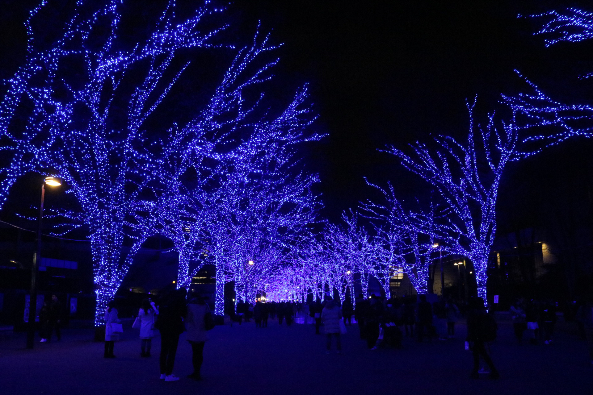 青の洞窟 at 渋谷