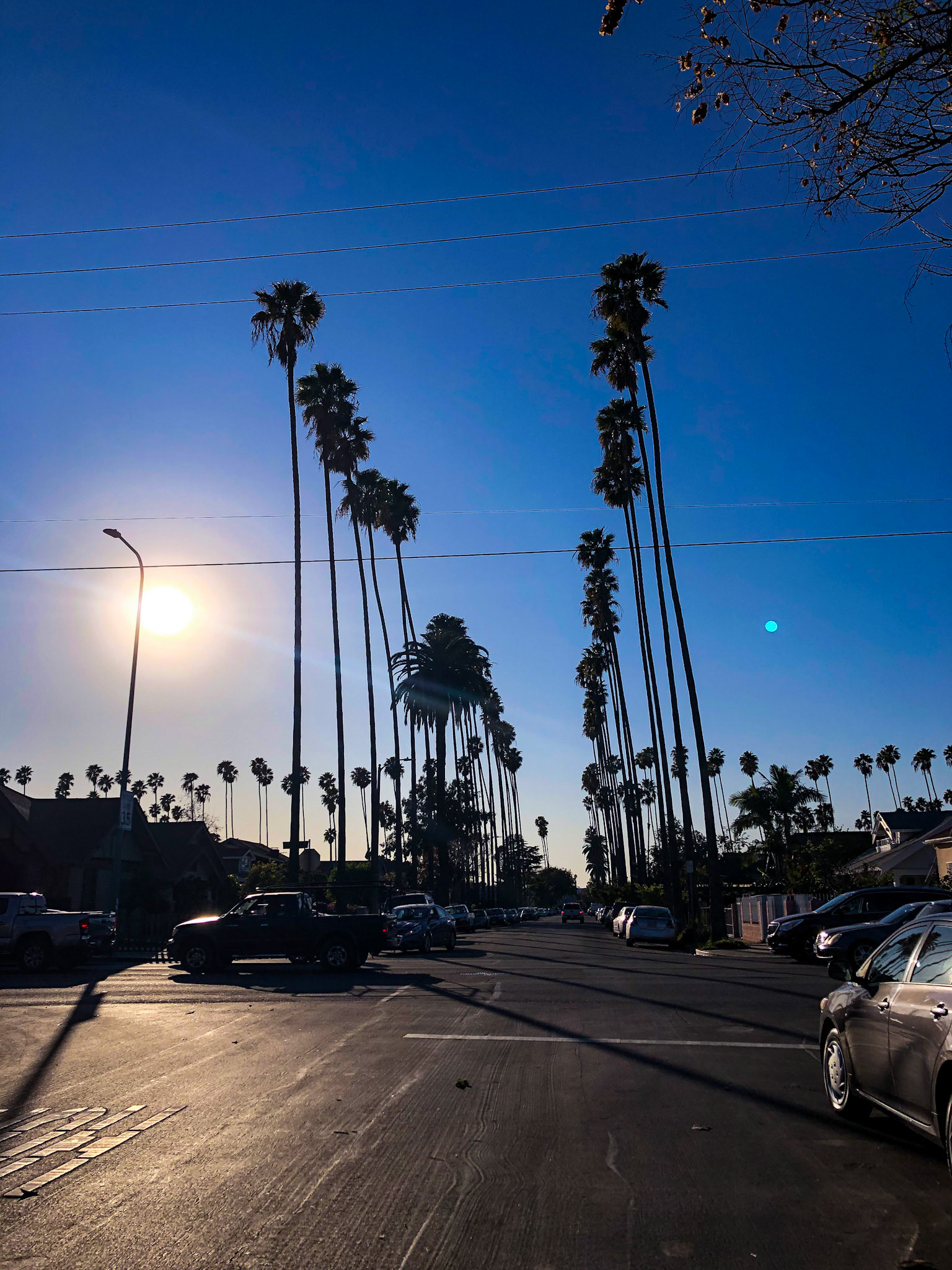 LA