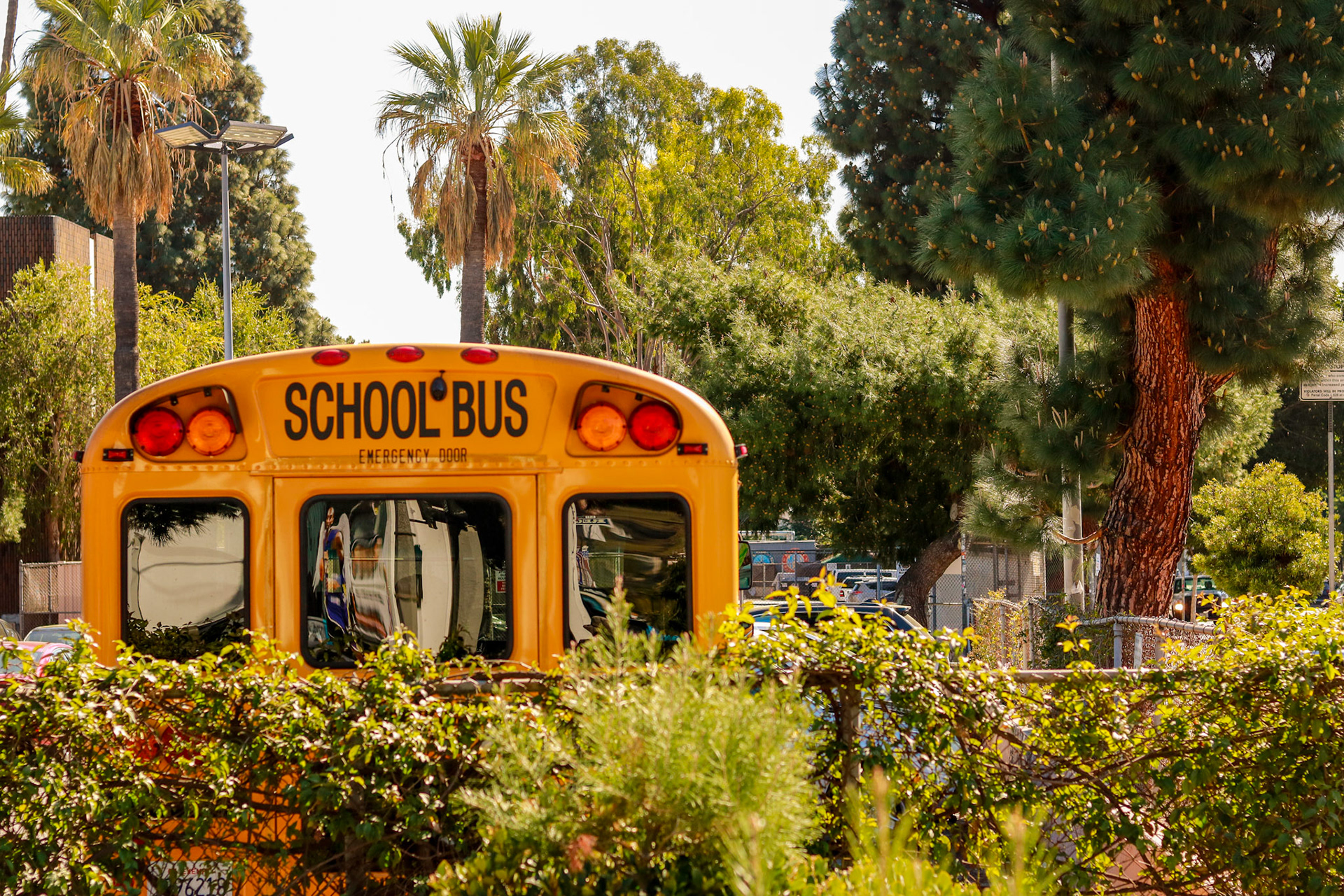 School Bus